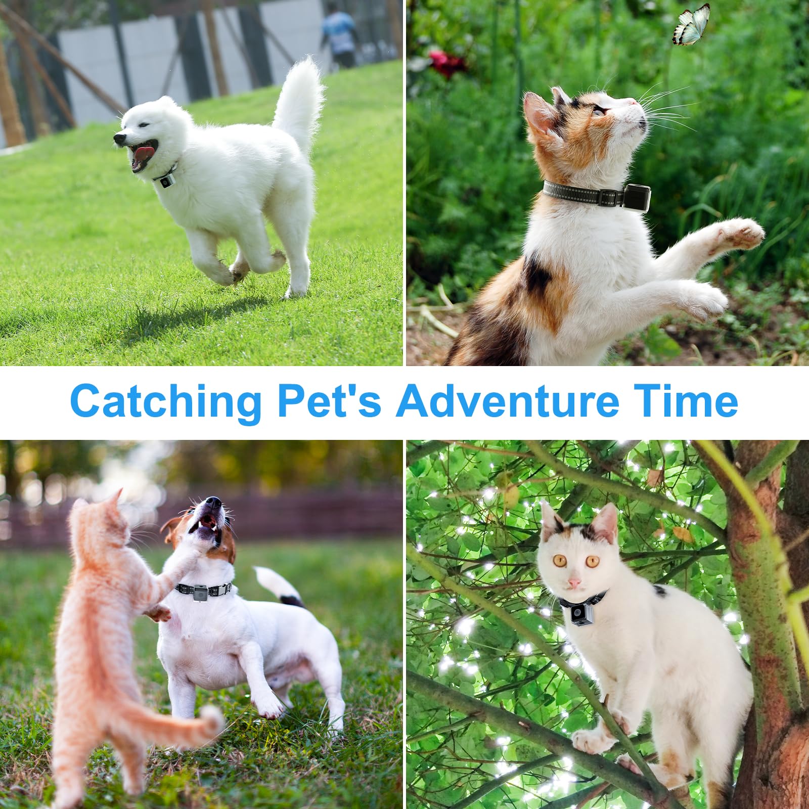 Kinetcam Cat Camera Collar,No App No Wifi Needed Cordless Cat Collar Camera With Video Record, Collar For Dogs/Big Cats,Pet Coll