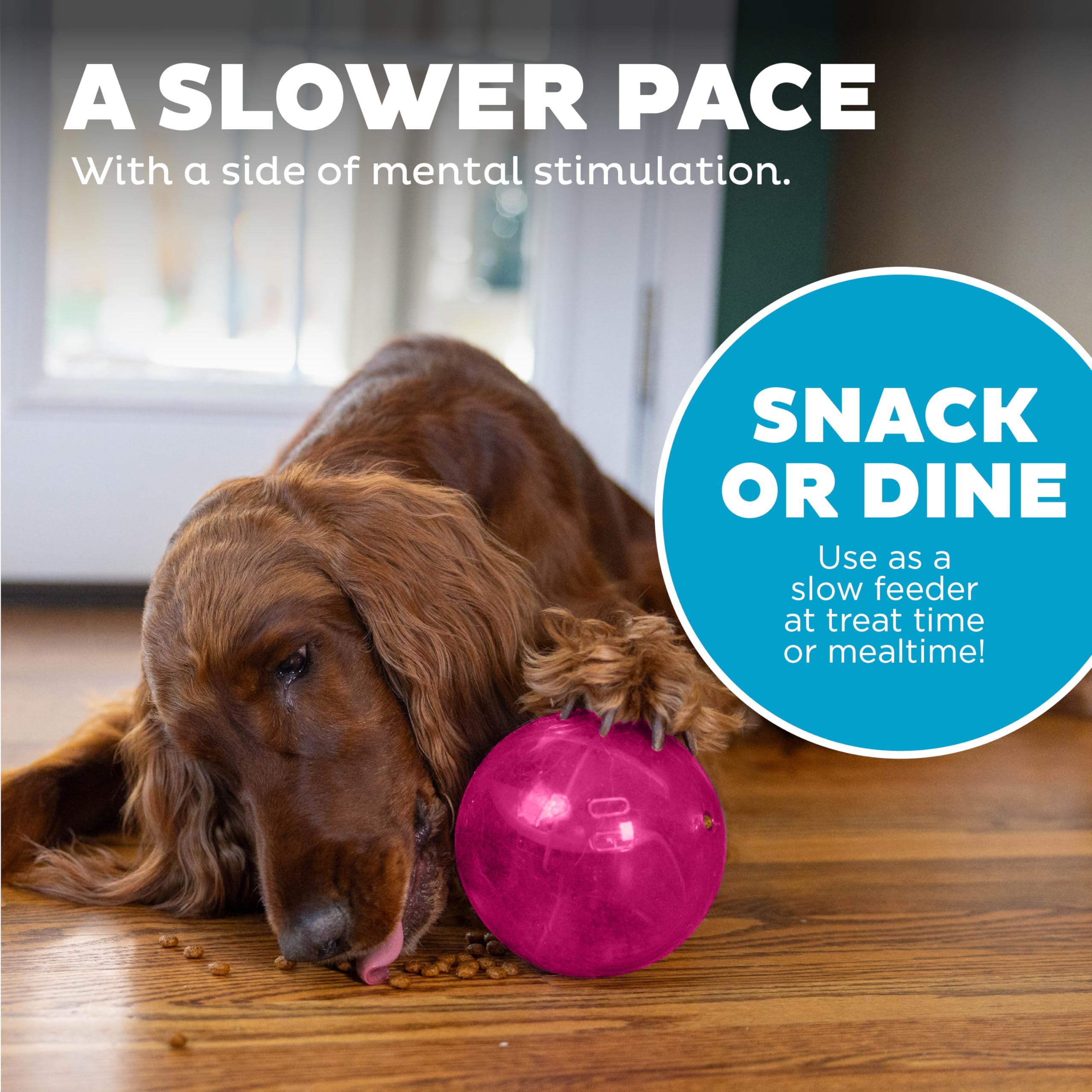 Outward Hound By Planet Dog Mazee Puzzle Ball Interactive Treat Dispensing Dog Toy, Pink