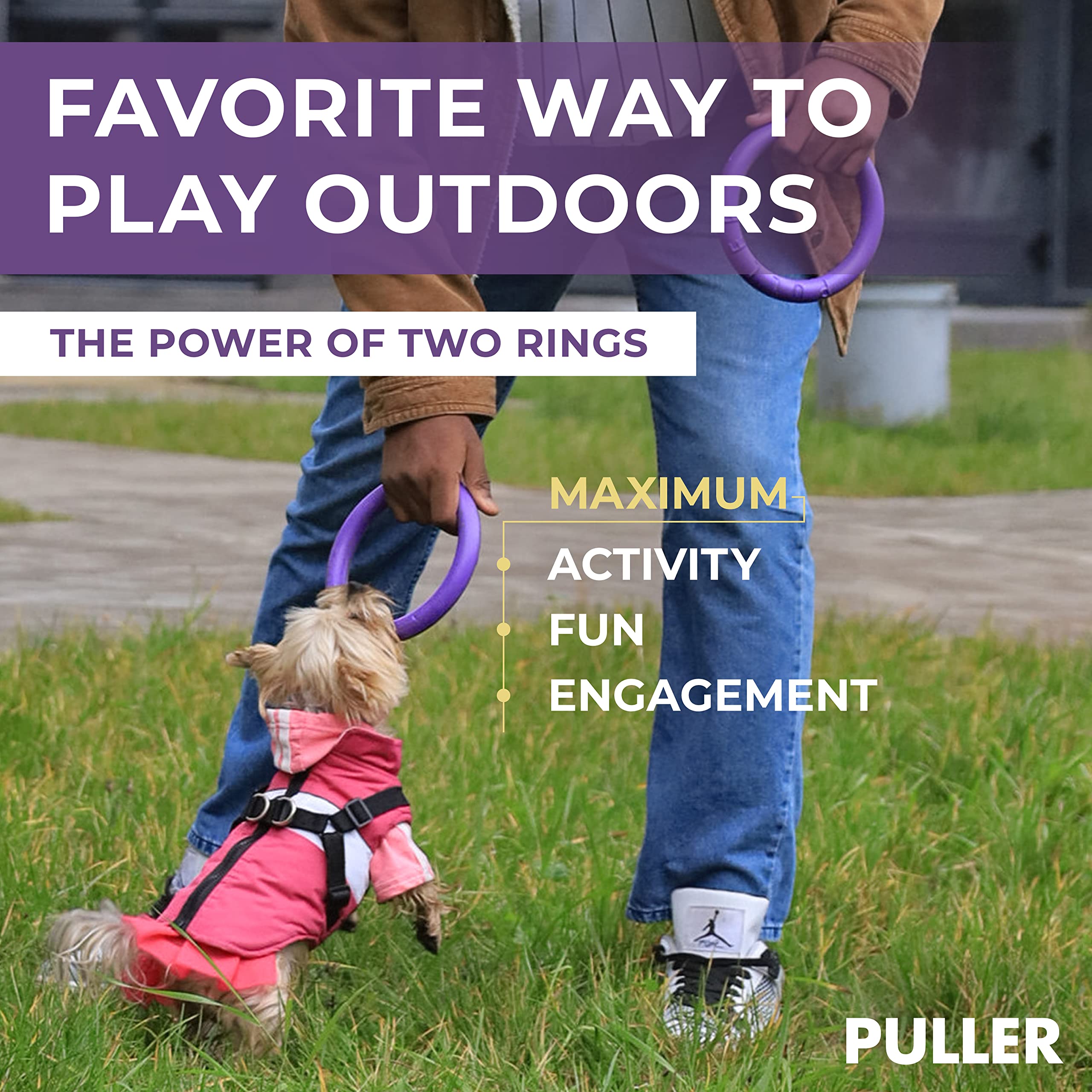 COLLAR Interactive Dog Toy Set - 2 Mini Rings, Dental Healthy, Purple, Model 4334816006