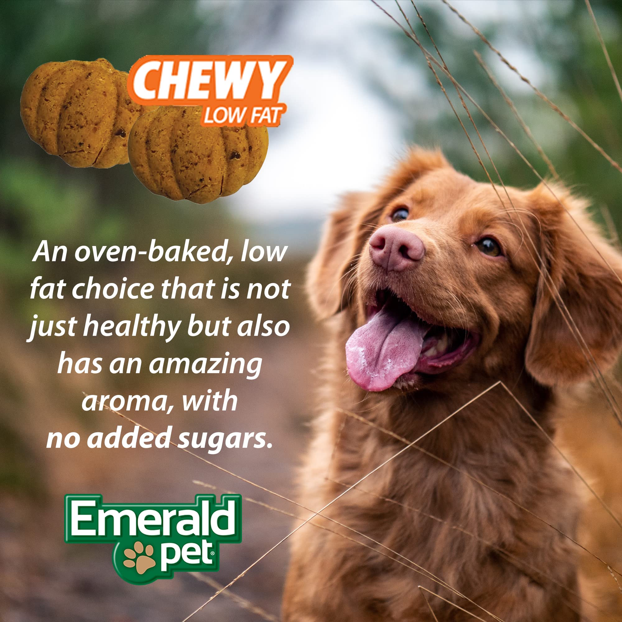Emerald Pet Pumpkin Harvest Oven Baked Dog Treats with Apple