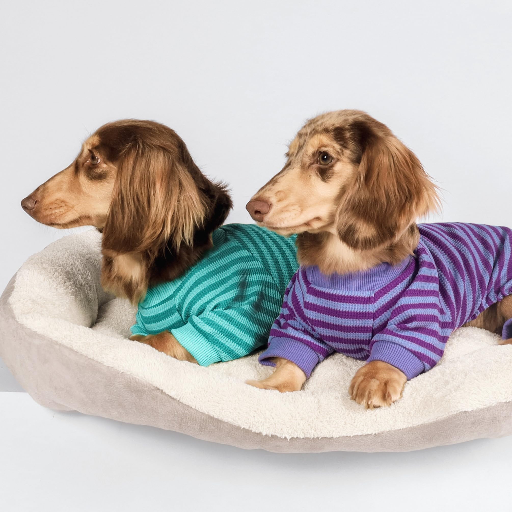 Fitwarm Green And Teal Striped Dog Pajamas, Waffle Dog Clothes For Small Dogs Girl Boy, Puppy Onesie With Feet, Pet Cat Outfit,