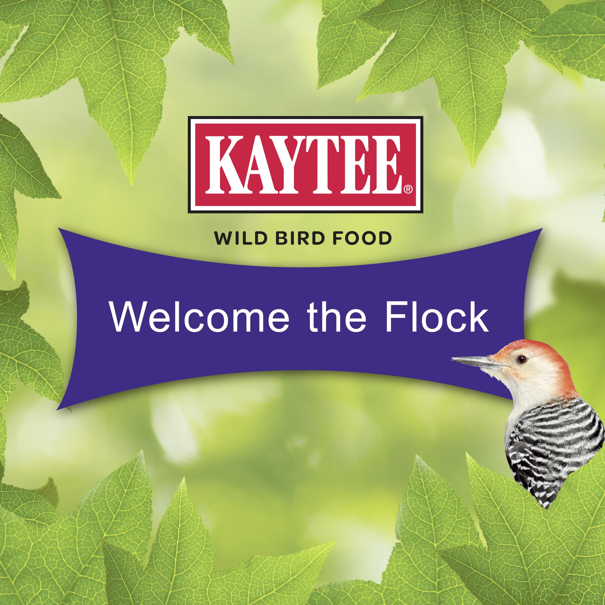 Kaytee Woodpecker Wild Bird Seed Cake 1.85 Pounds 4 Count