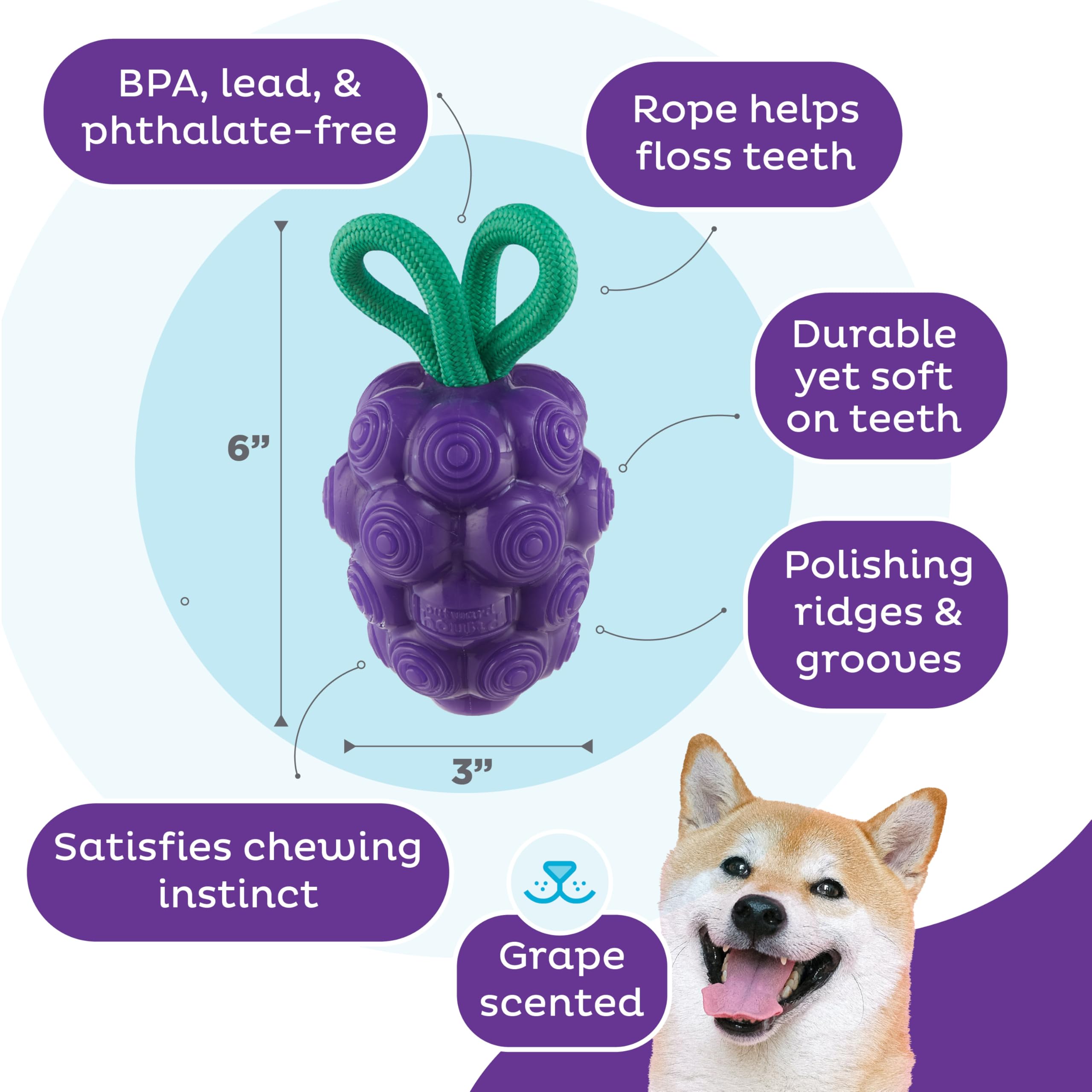 Outward Hound By Planet Dog Dental Grapes 2-In-1 Interactive Dog Chew Toy And Treat Stuffer, Medium, Purple