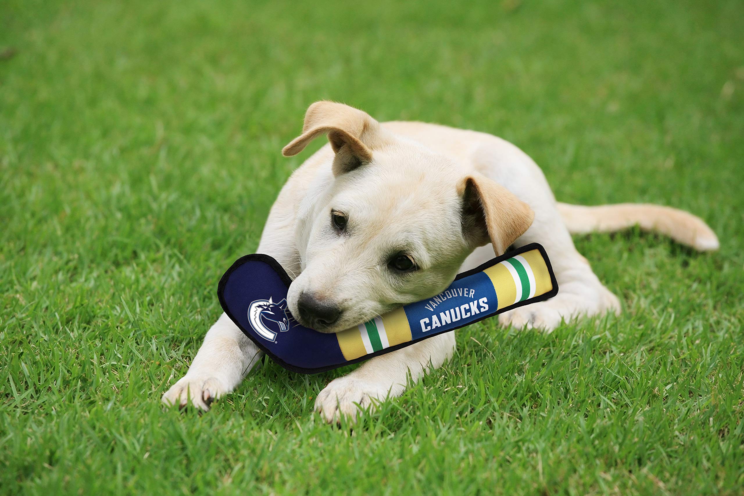 Pets First Nhl Vancouver Canucks Stick Toy For Dogs & Cats. Play Hockey With Your Pet With This Licensed Dog Tough Toy Reward!
