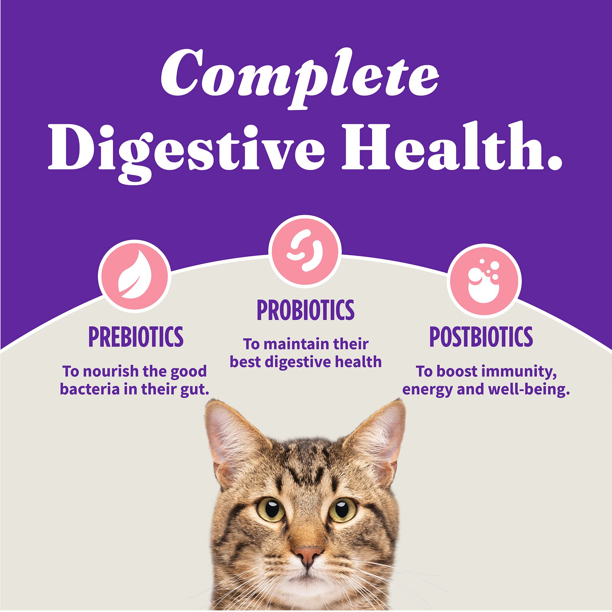 Halo Holistic Indoor Cat Food Dry, Grain Free Wild-caught Salmon & Whitefish Recipe for healthy weight support, Complete Digesti