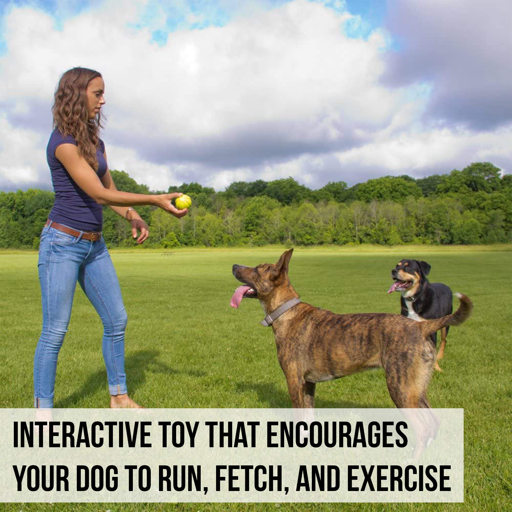 Hyper Pet Fetching Dog Toys - Throwing Ball Dog Toy Made With Eva Foam - Lightweight & Floats On Water,Green