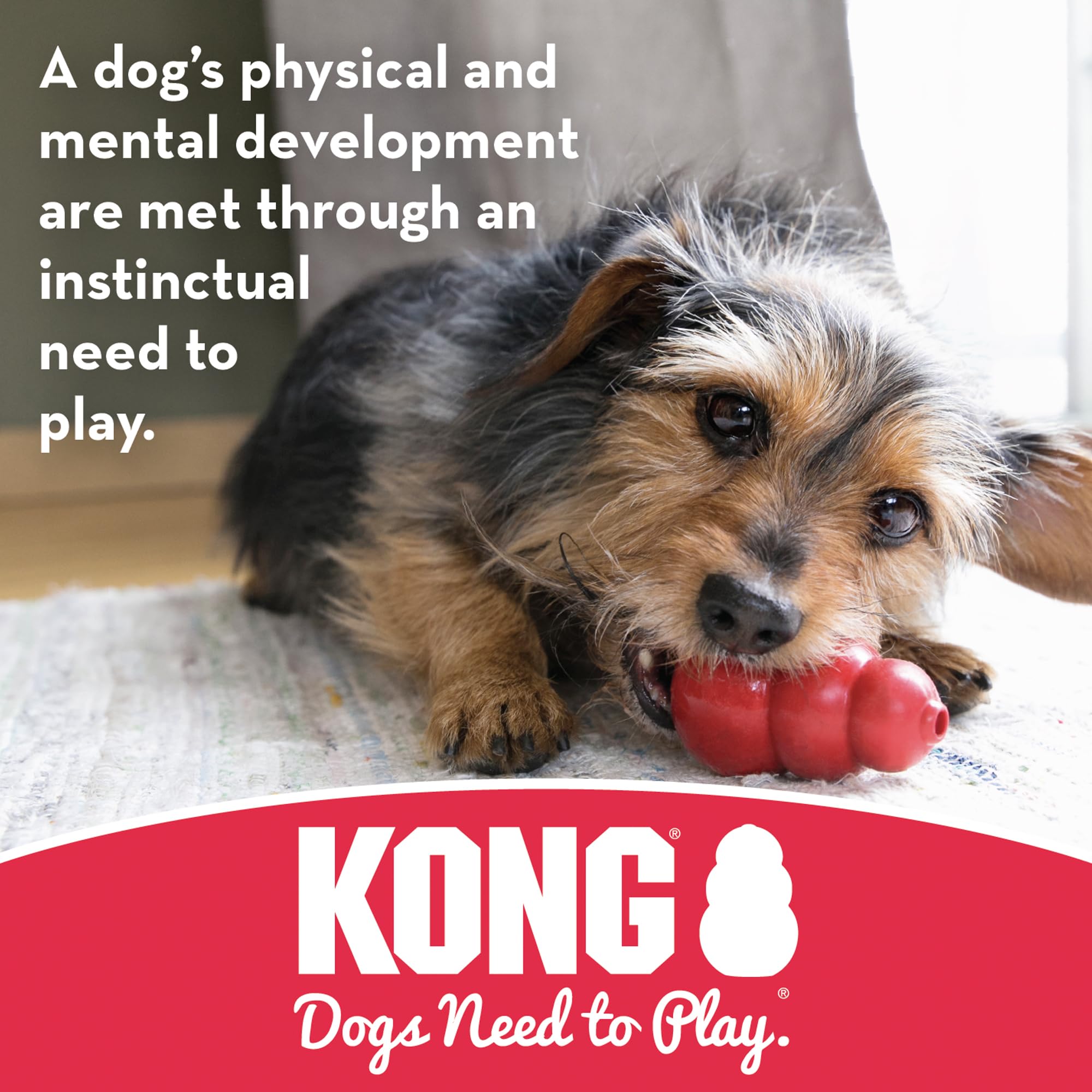 KONG Stuff-A-Ball Chew Toy for Large Dogs - Durable Red Rubber, Dental Health, Stuffable Treats - Model KS1