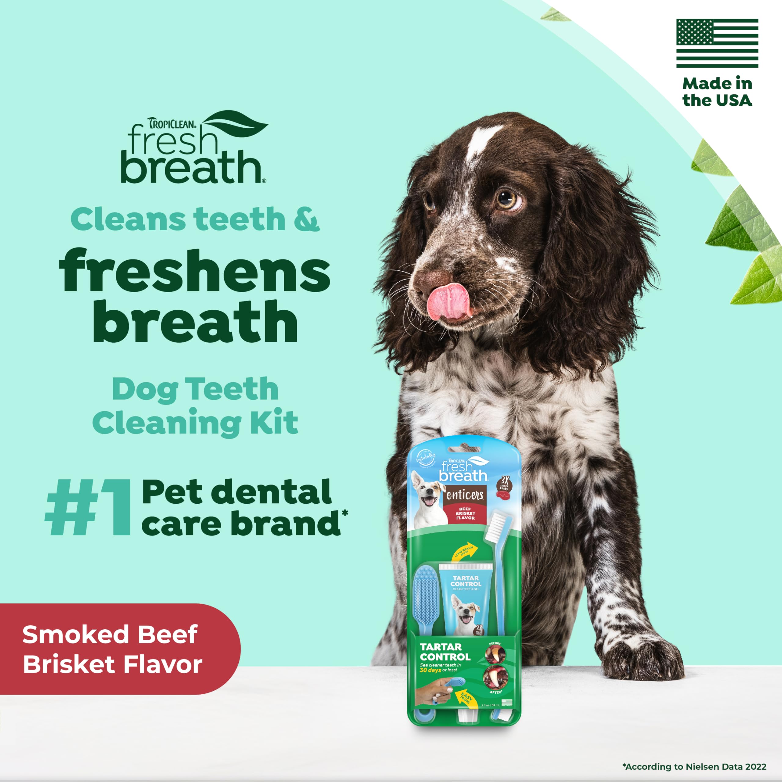 TropiClean Fresh Breath Oral Care Kit - Soft Bristle Finger Toothbrush - Dog Tooth Brushing Kit - Beef Brisket Flavor Dog Toothp