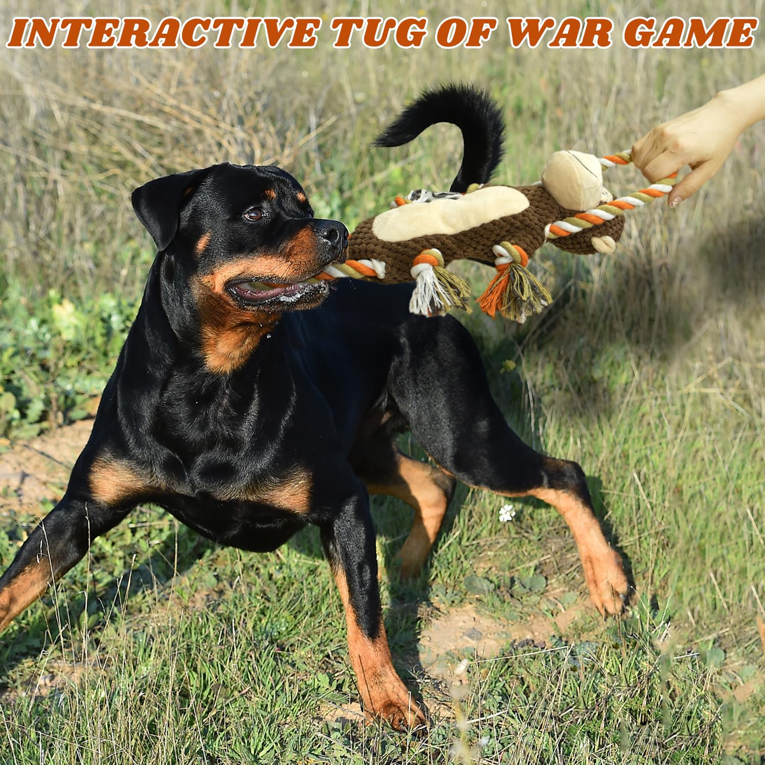 Cneeeeeb Squeaky Durable Dog Toy Large Breed, Tug Of War Dog Interactive Toy, Stuffed Plush Puppy Toy With Crinkle Paper For Sma