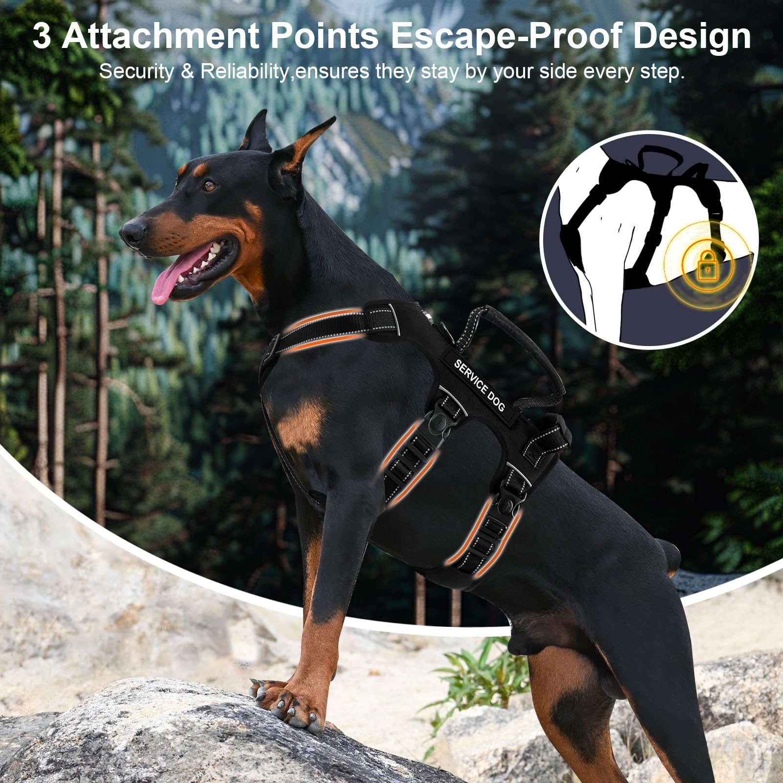 Escape Proof Dog Harness for Large Medium Sized Dogs Six Point Adjustable, Service Dog Vest Harness and Leash Set, No Pull Dogs