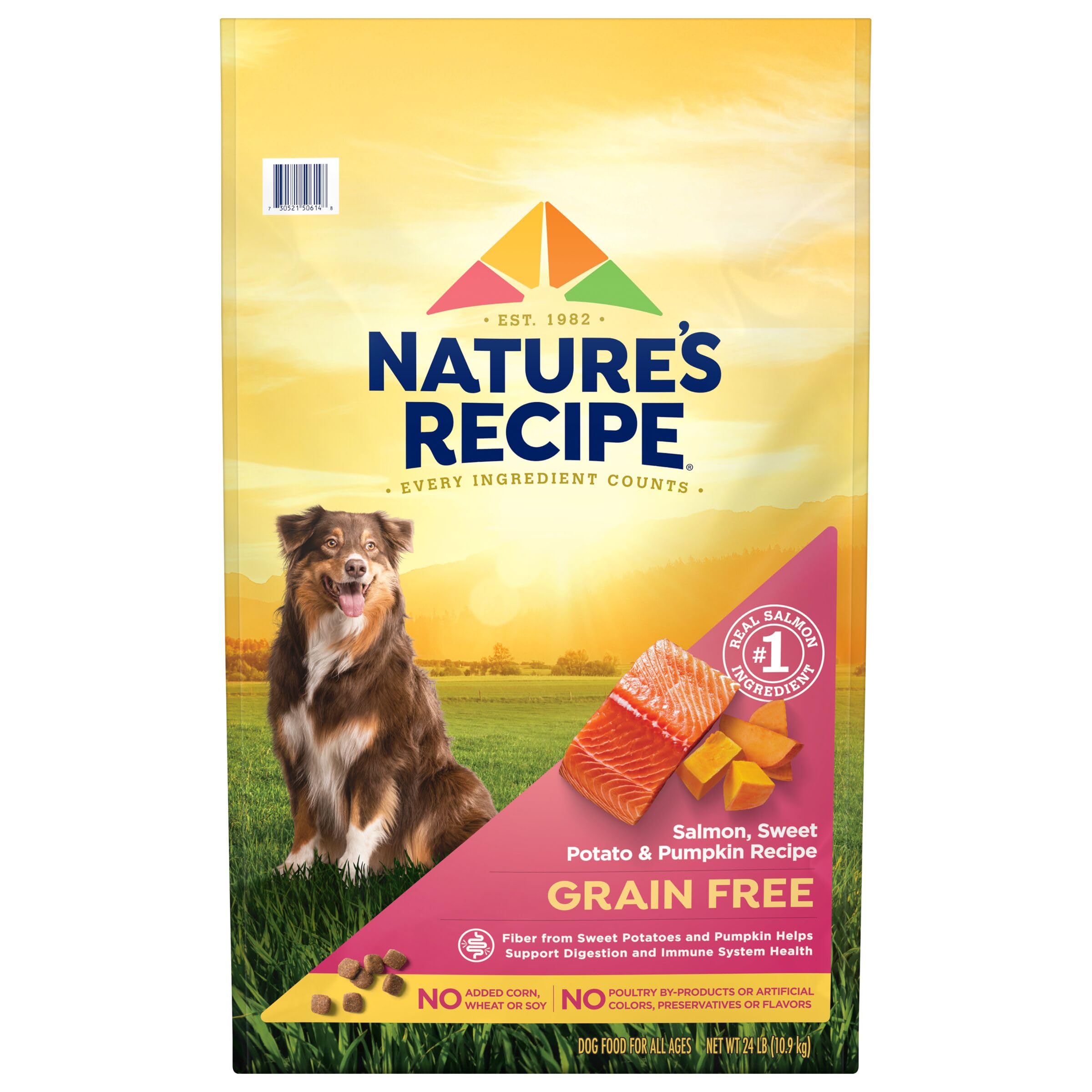Natures Recipe Grain Free Salmon, Sweet Potato & Pumpkin Recipe Dry Dog Food, 24 lb. Bag