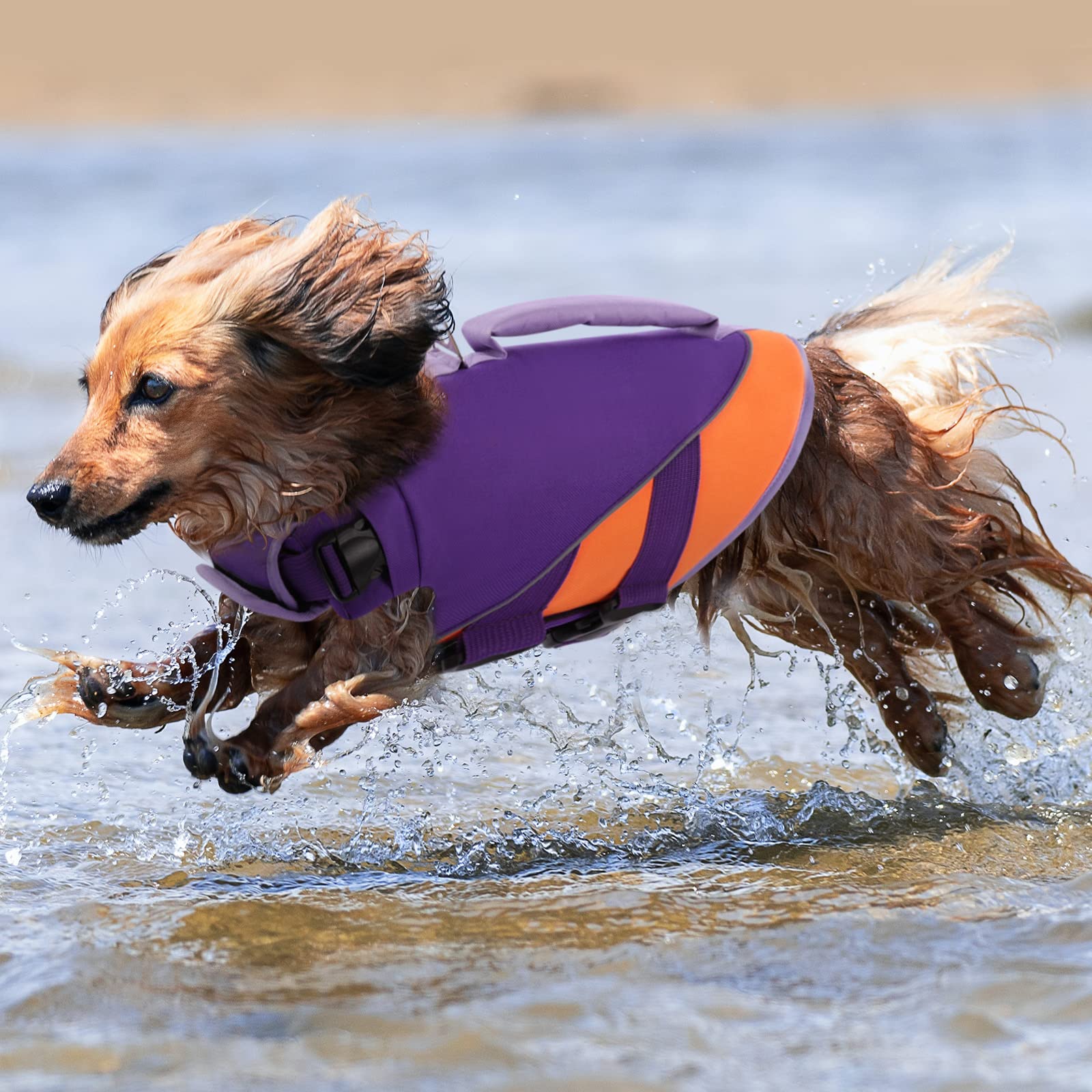 Queenmore Dog Life Jacket,Dog Life Vest For Swimming Boating,Life Jackets For Small Dogs,Ripstop Pet Life Vests With Strong Resc