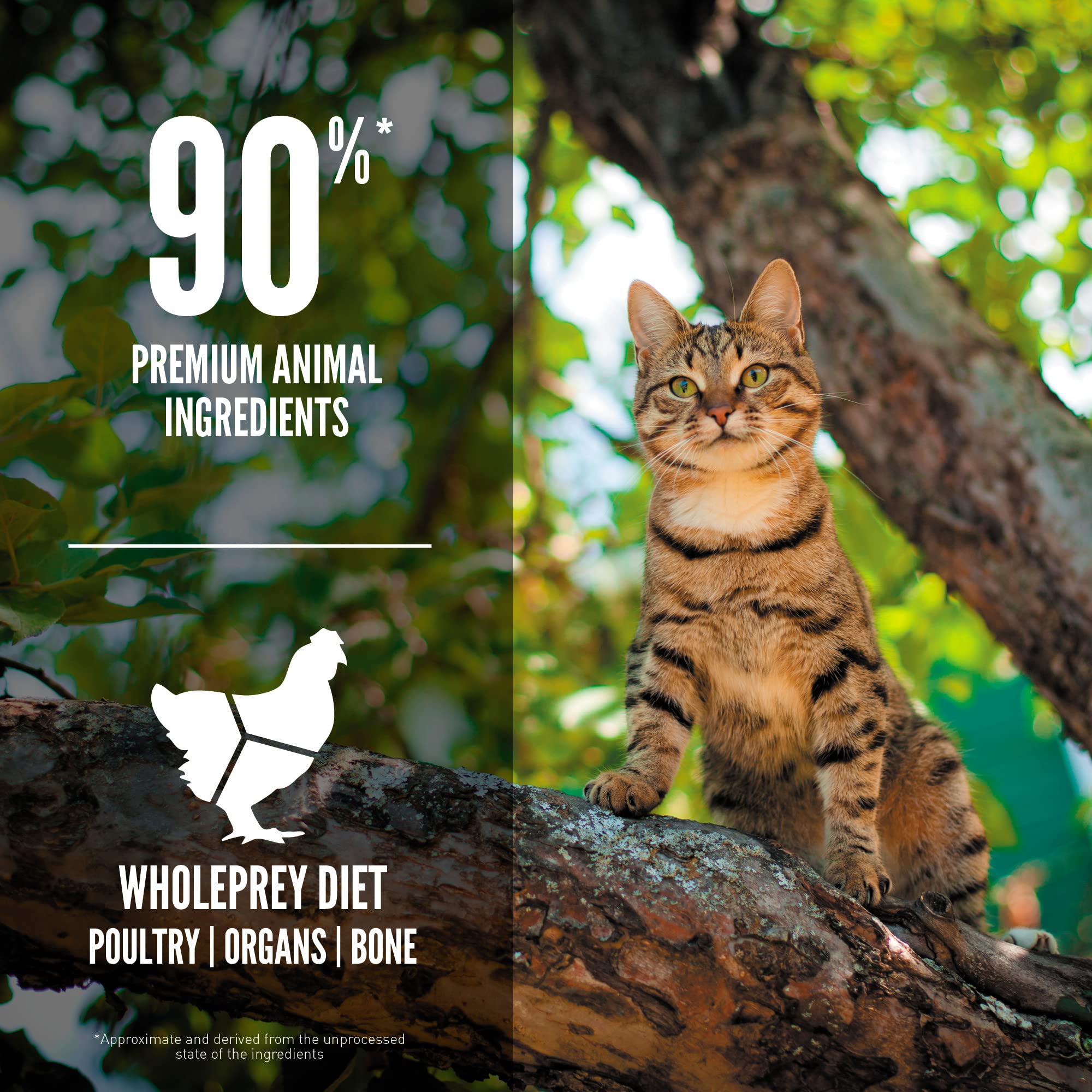 ORIJEN Guardian 8 Dry Cat Food, Grain Free Cat Food for Adult Cats, with Chicken, Salmon and Rabbit, 4lb