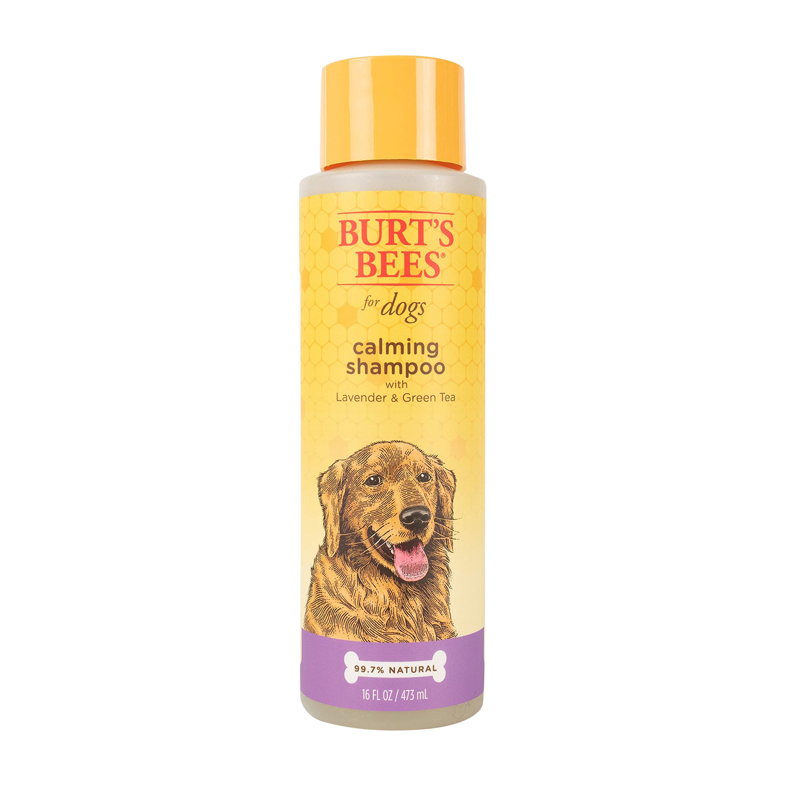 Burt'S Bees For Pets Natural Calming Dog Shampoo | Soothes, Calms & Revitalizes | Dog Shampoos Made With Lavender & Green Tea | Cruelty Free, Sulfate & Paraben Free- Made In Usa, 16 Oz - 2 Pack