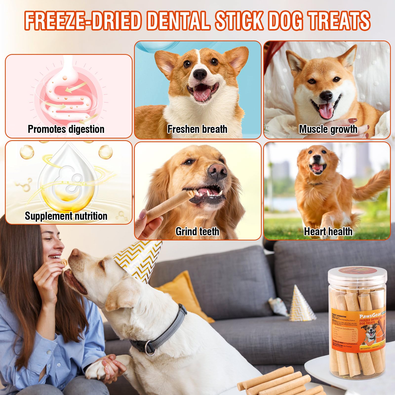 PawsGear Salmon Sticks for Dogs - High Protein, Real Salmon & Carrots, Easily Digestible, 100g