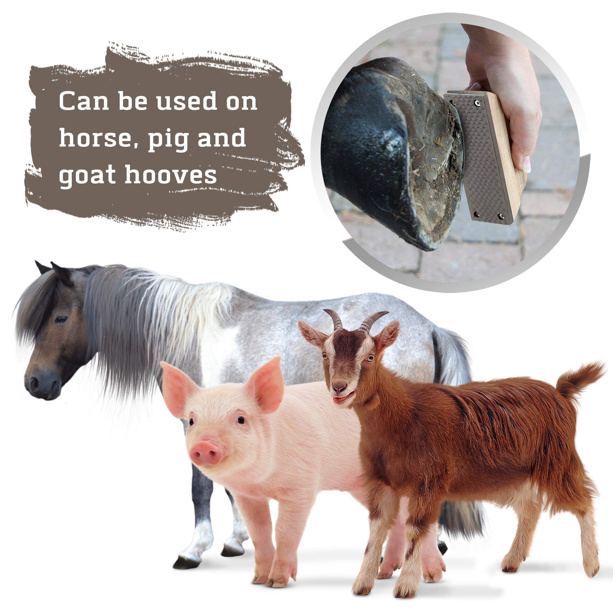 Rural365 Farrier Rasp With Wooden Handle, Mini Hoof Rasp File – Farrier Supplies For Miniature Horse, Pigs, Goats