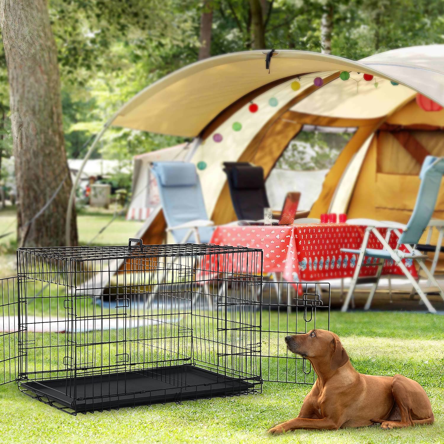 Large Dog Crate, 42 Inches Double Door Pet Crate Folding Metal Wire Dog Cage Pet Dog Kennel With Divider Panel, Leak-Proof Plast