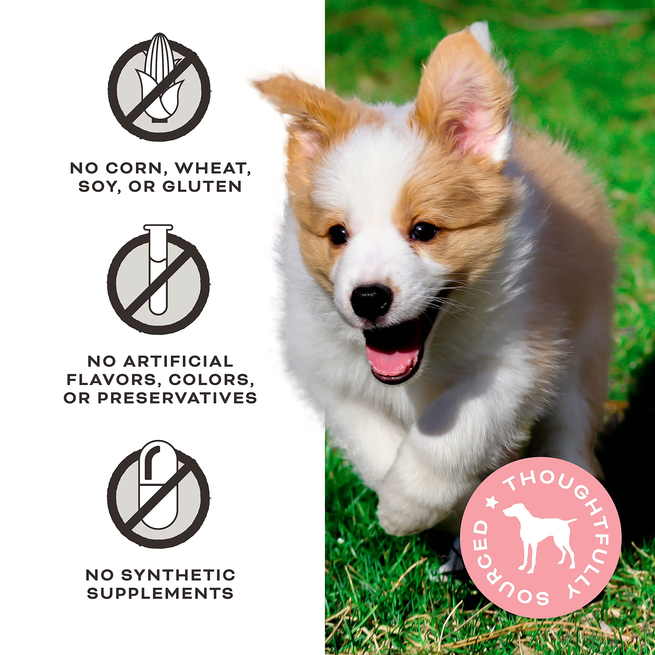 Primal Chicken Jerky Dog Treats Made with Broth, Give Pieces a Chance Training Treat for Dogs, 4 oz