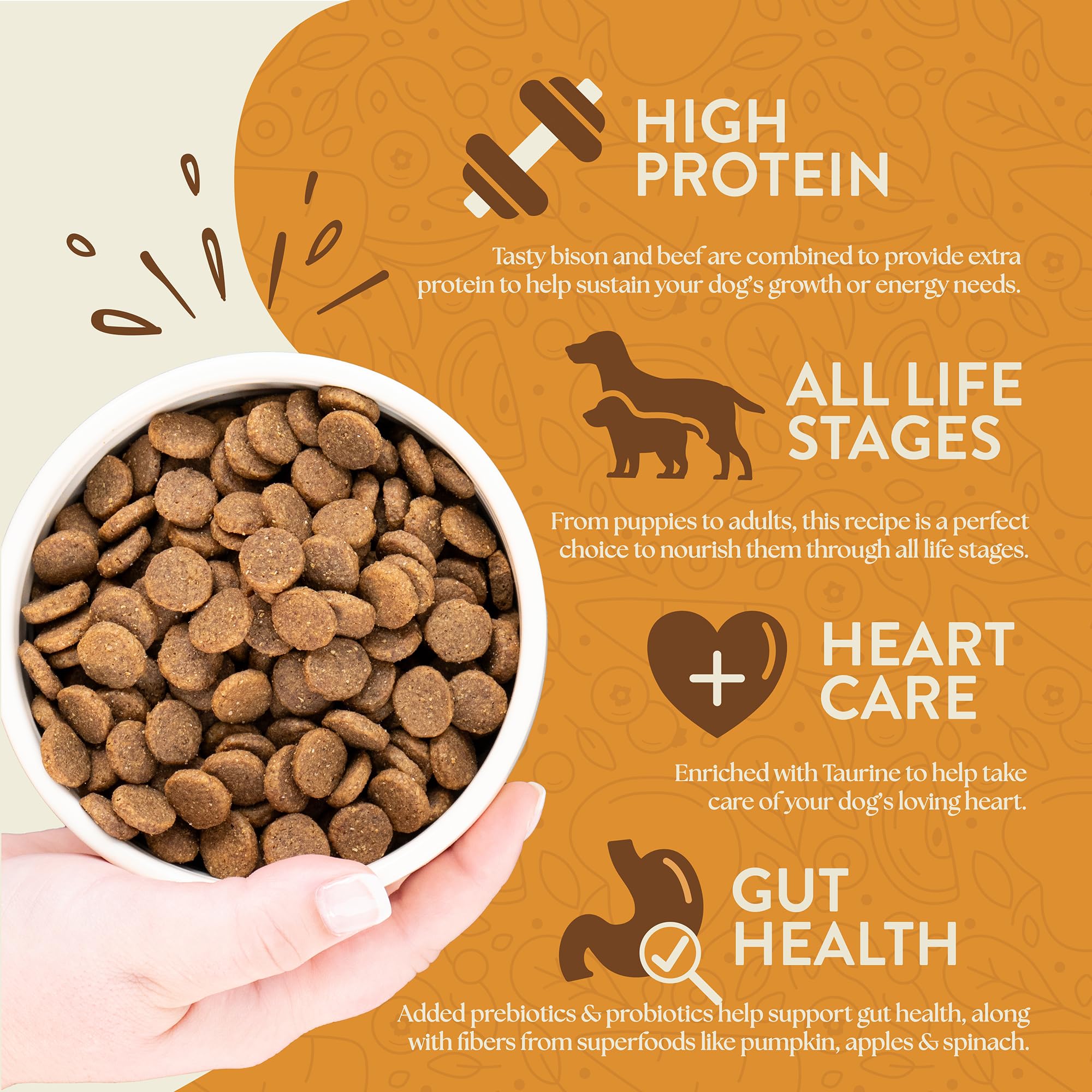 Earthborn Holistic Great Plains Feast Bison Meal & Vegetables Grain-Free High Protein Dry Food for Dogs & Puppies (4 lb. Bag)