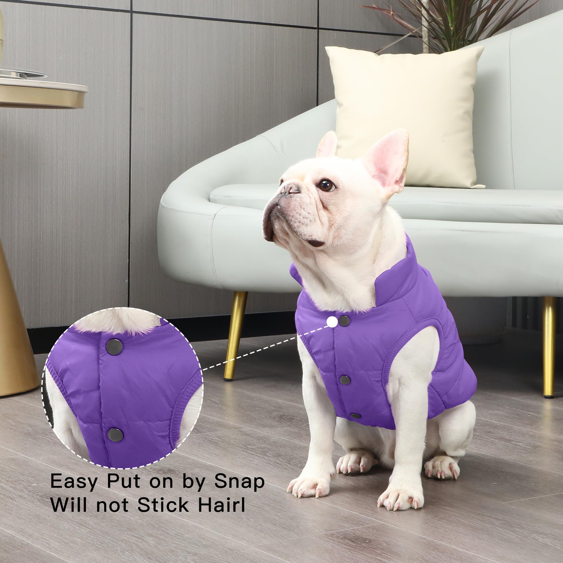 Joydaog 2 Layers Fleece Lined Warm Dog Jacket For Winter Cold Weather,Soft Windproof Medium Dog Coat,Purple Xl