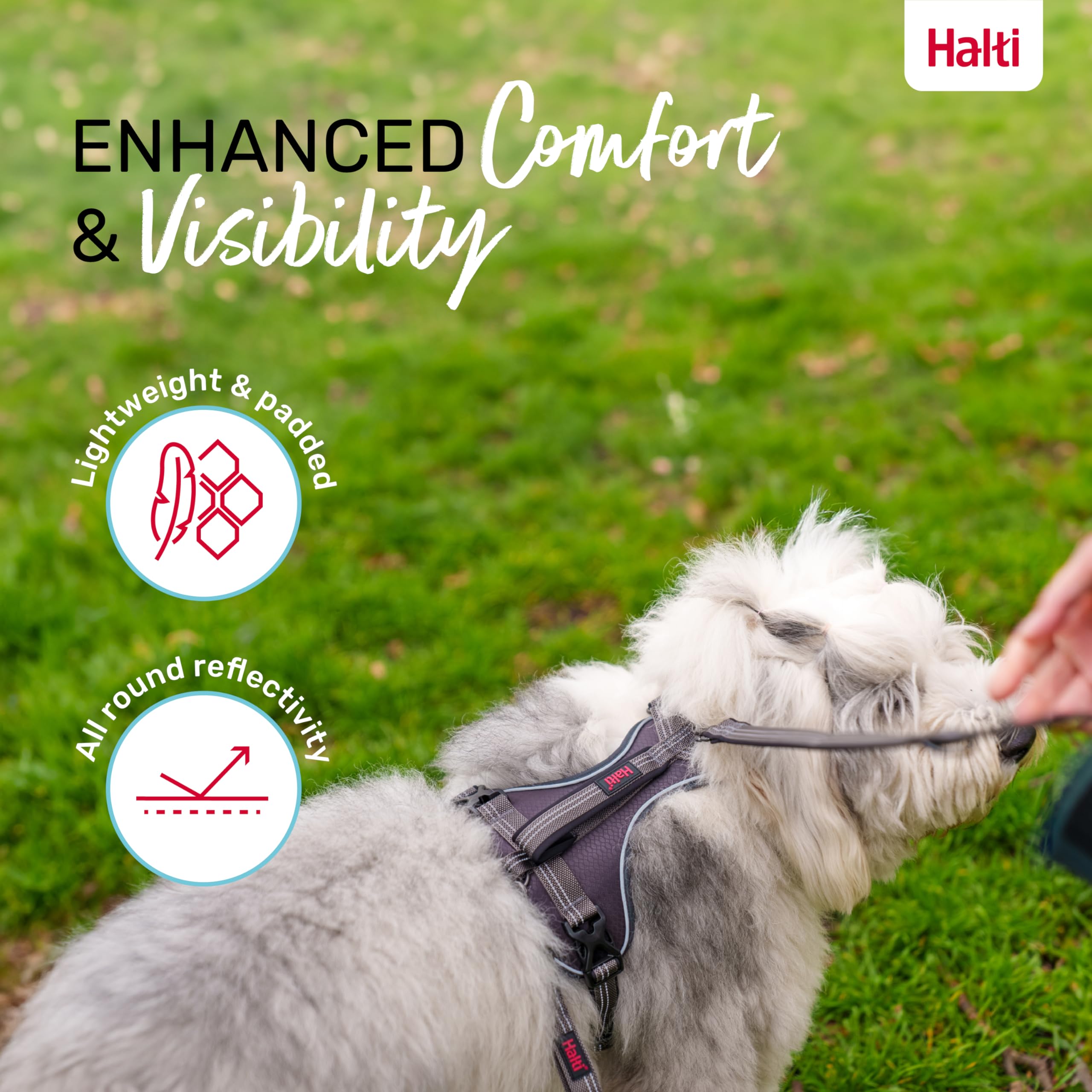 HALTI Anatomy Dog Harness with Handle - Provides Your Dog Freedom of Movement for Comfortable Walking. 3 Leash Attachment Points