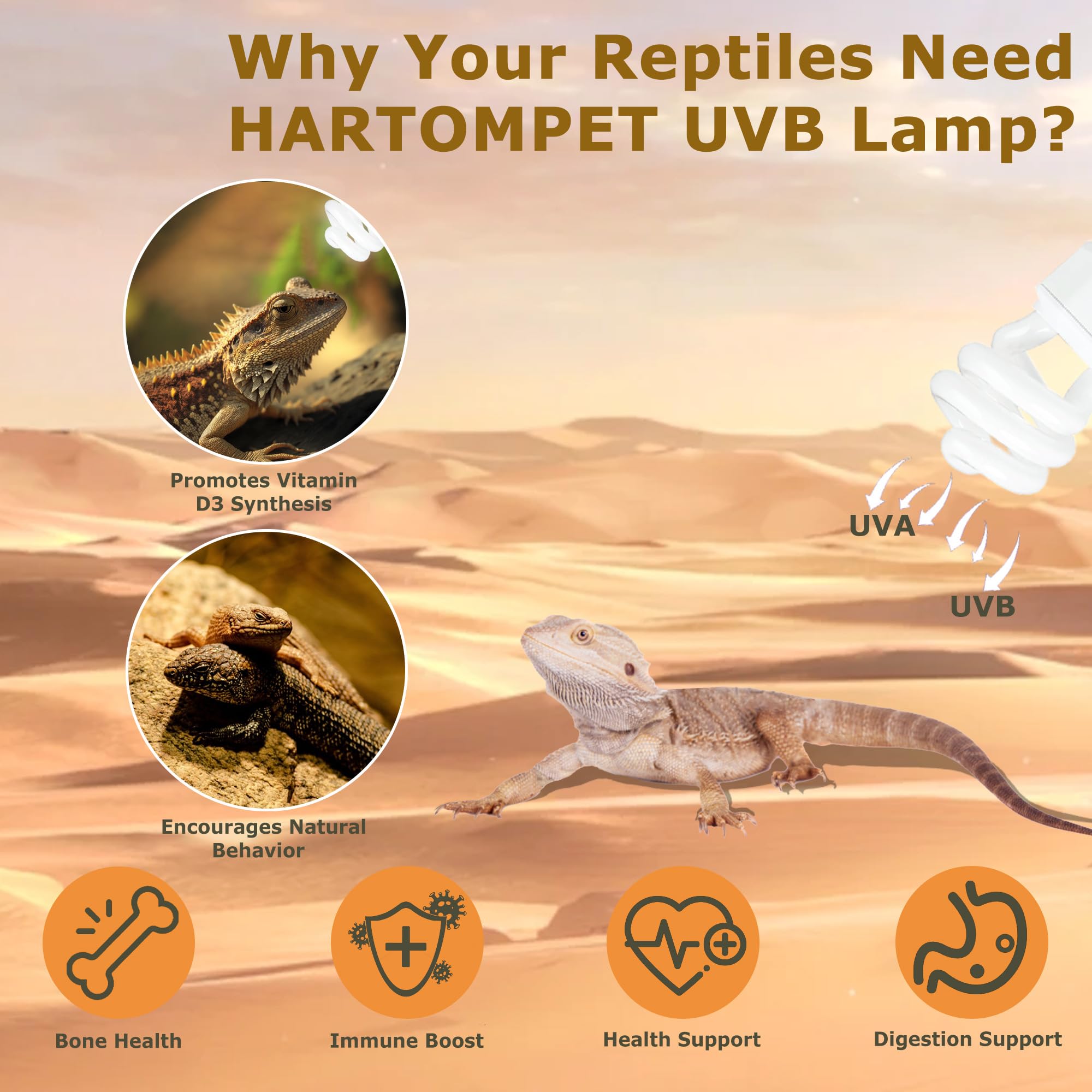 Hartompet Uvb 10.0 Reptile Light 13W, Compact Fluorescent Desert Lamp, High-Output Coil Uvb Bulbs For Terrarium Tanks, Suitable