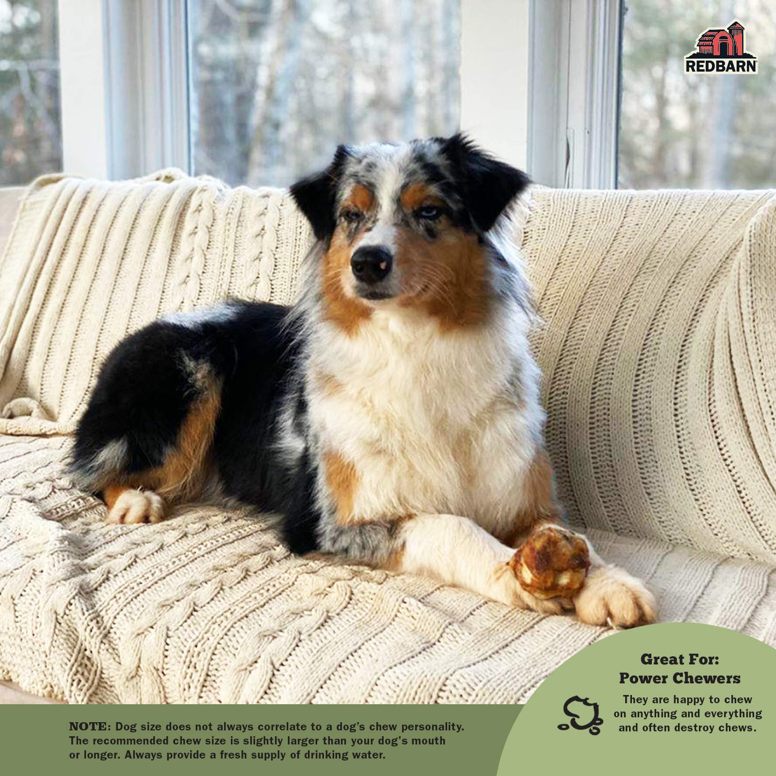 Redbarn Pet Products Knee Caps for Dogs 4-Count, Pack of 12