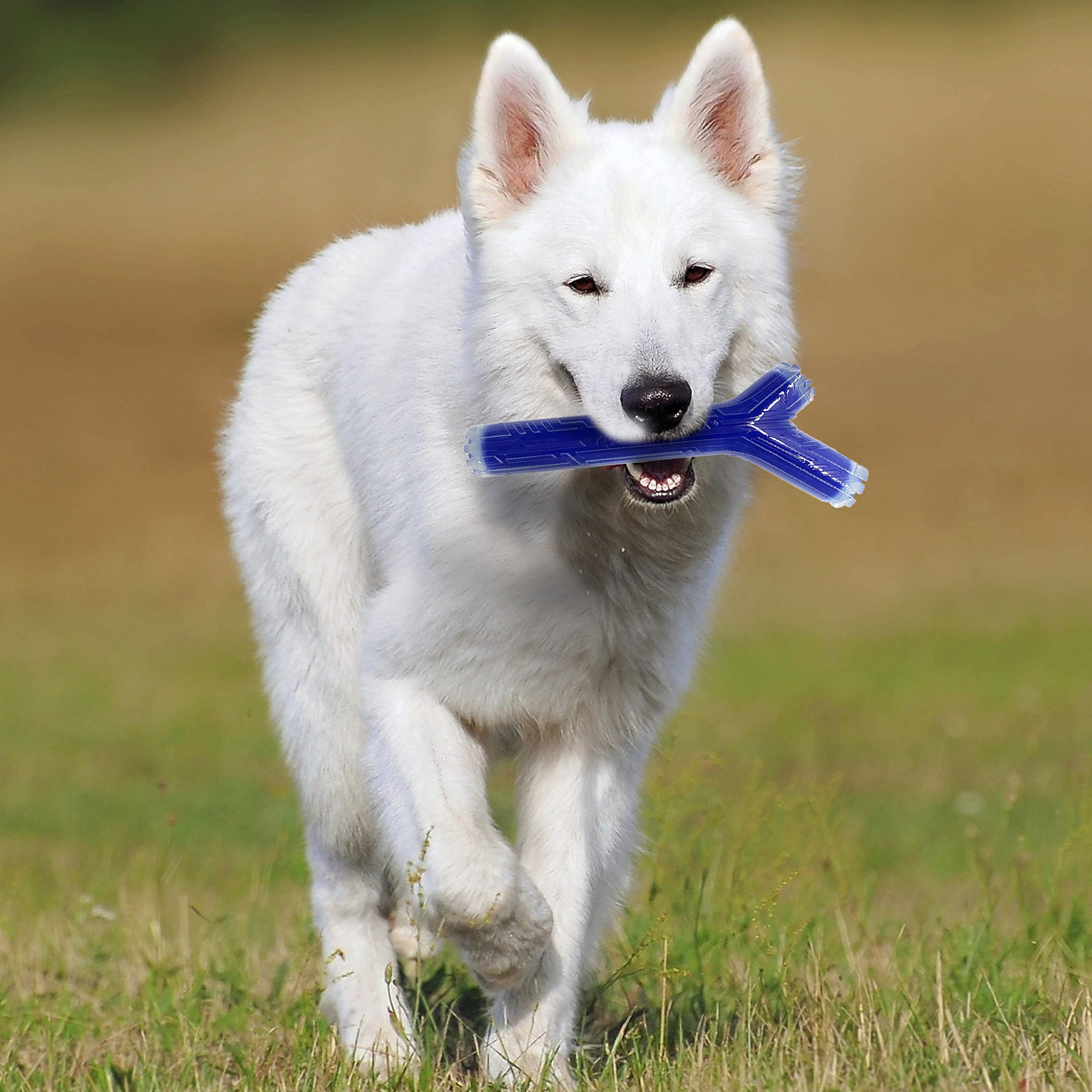 Nerf Dog 10In Tpr/Pp Scented Peanut Butter Superscent Stick Solid Core -Clear/Blue, (Nf-7133)