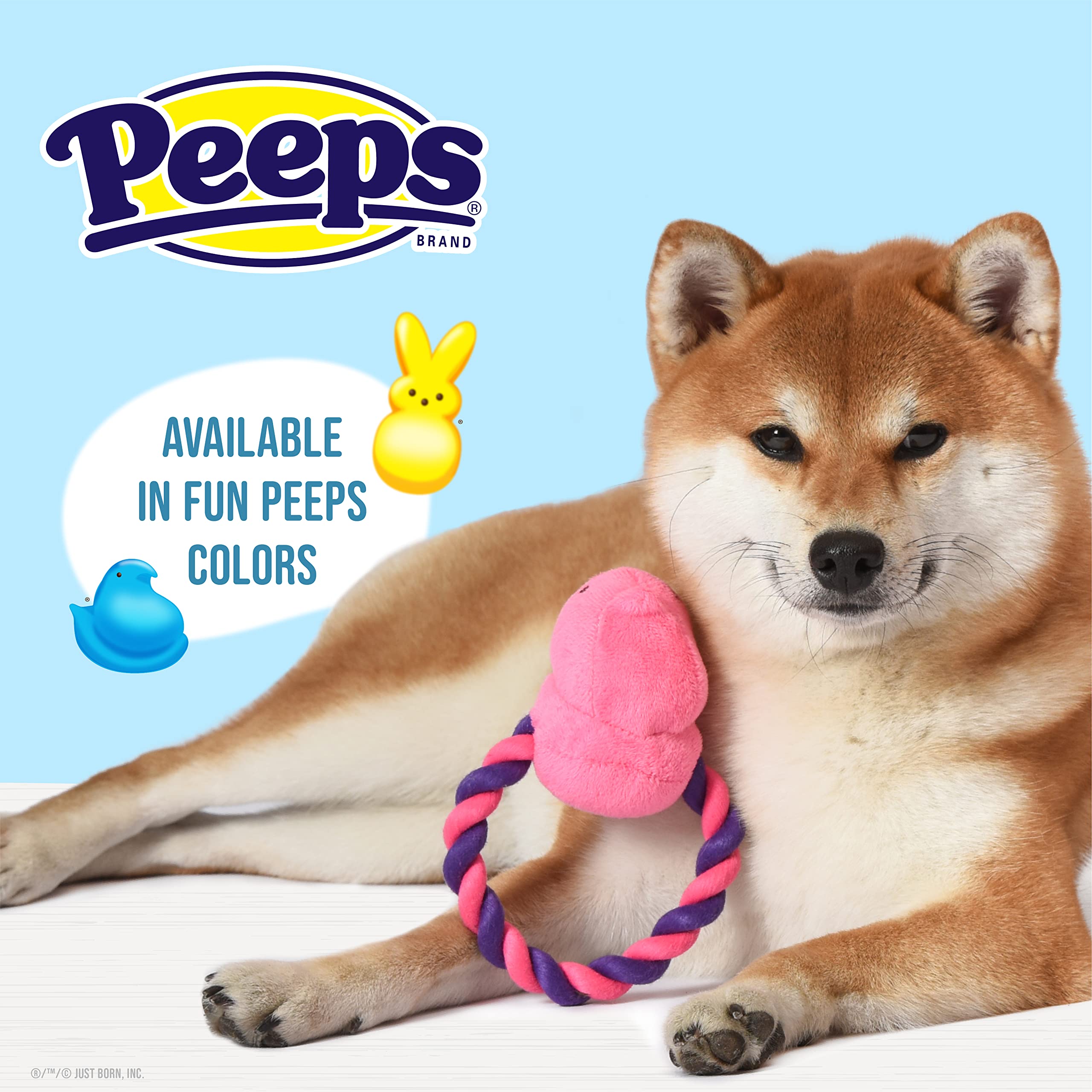 Peeps For Pets Plush Chick Rope Pull Toy For Dogs Squeaker Dog Toy, Pink/Purple | Adorable And Cute Dog Chew Toy | Squeaky Dog T