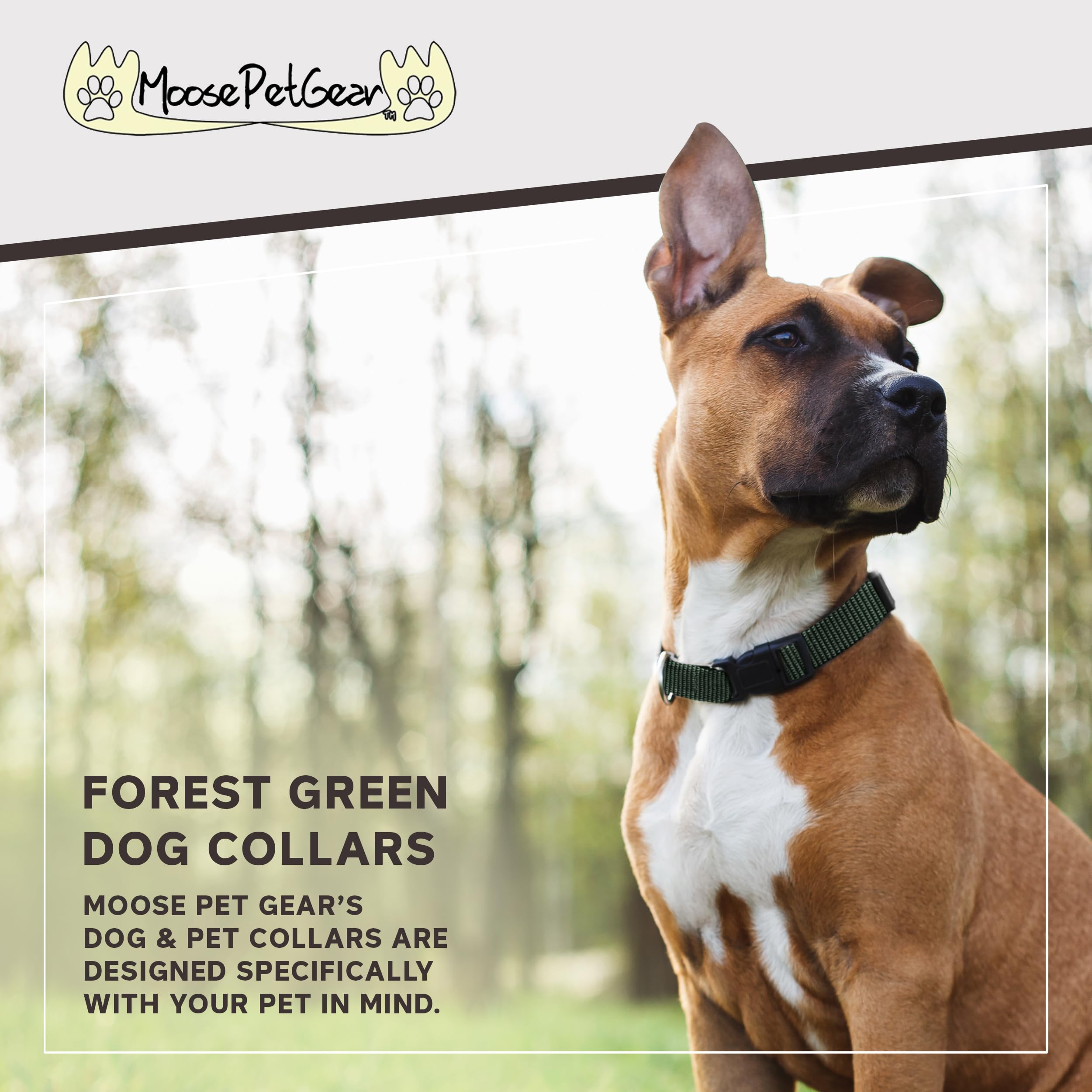 Moose Pet Wear Classic Dog Collar - Adjustable Pet Collars, 1 Inch Wide, Extra Large, Forest Green