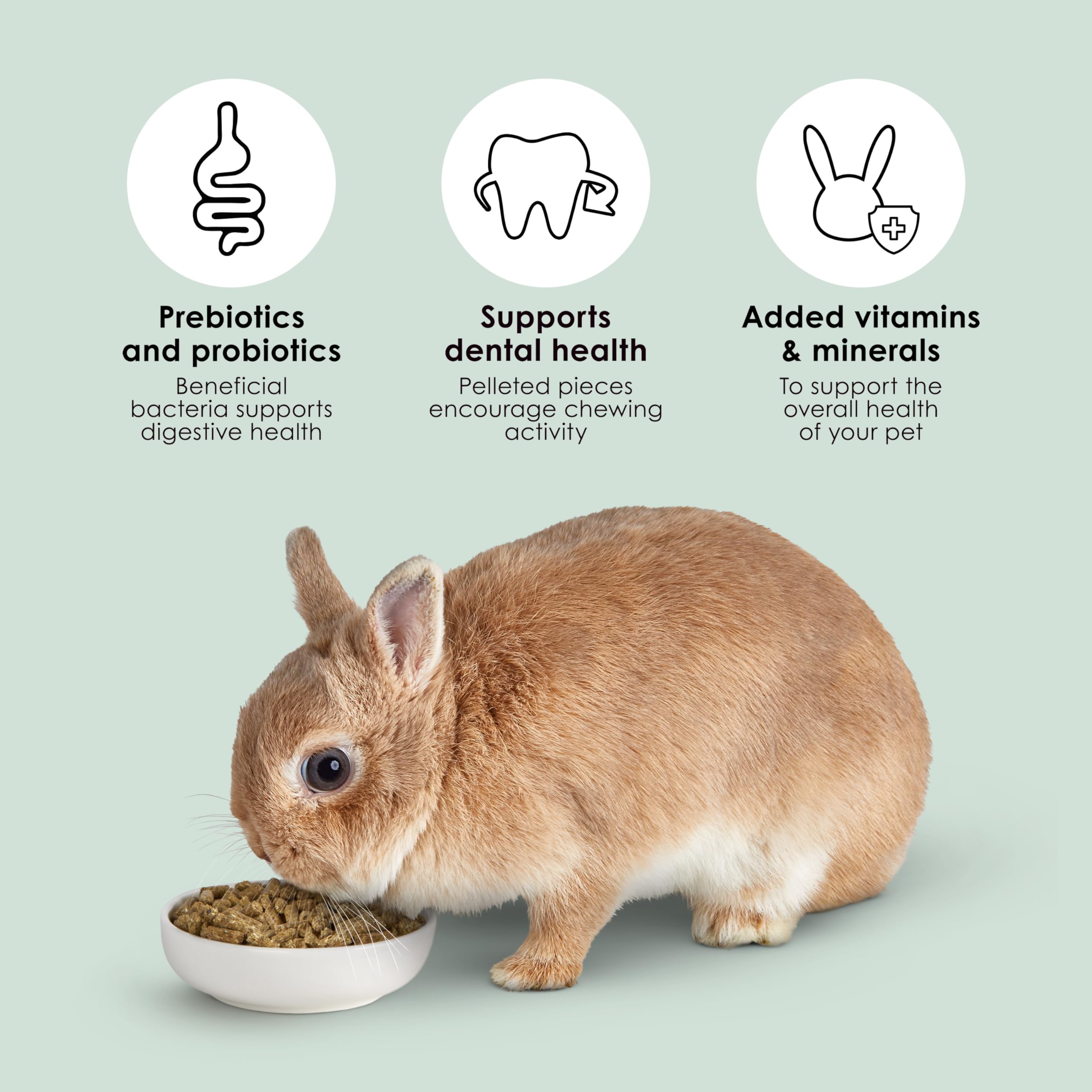 Kaytee Rabbit Food, Timothy Complete, 25lb