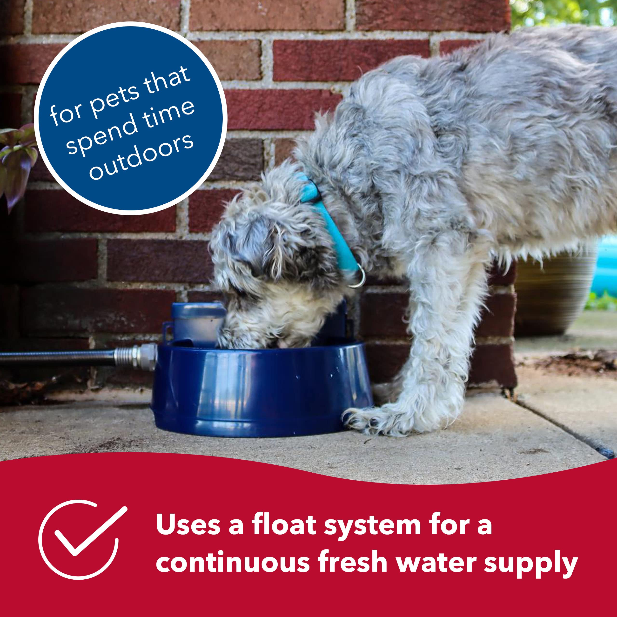 Coastal Pet Bergan Auto-Wata - Outdoor Dog & Cat Water Dispenser - Automatic Water Bowl For Pets - Made From Durable, Bpa-Free Plastic - Self-Watering Cat & Dog Bowl - Navy, 48 Ounces