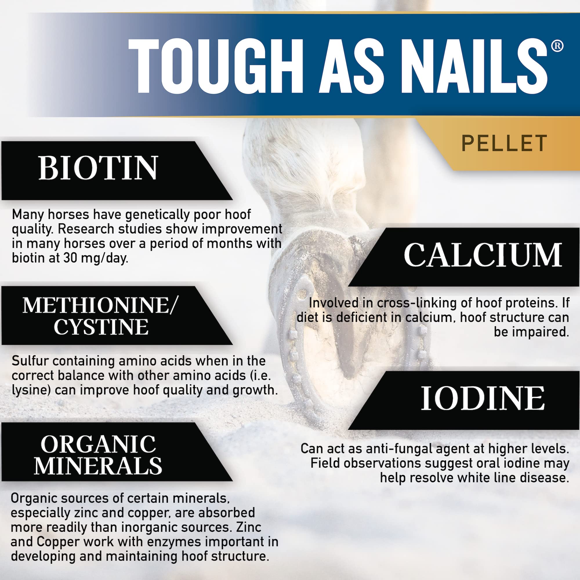 Tribute Tough As Nails 11lbs Pelleted Hoof Supplement