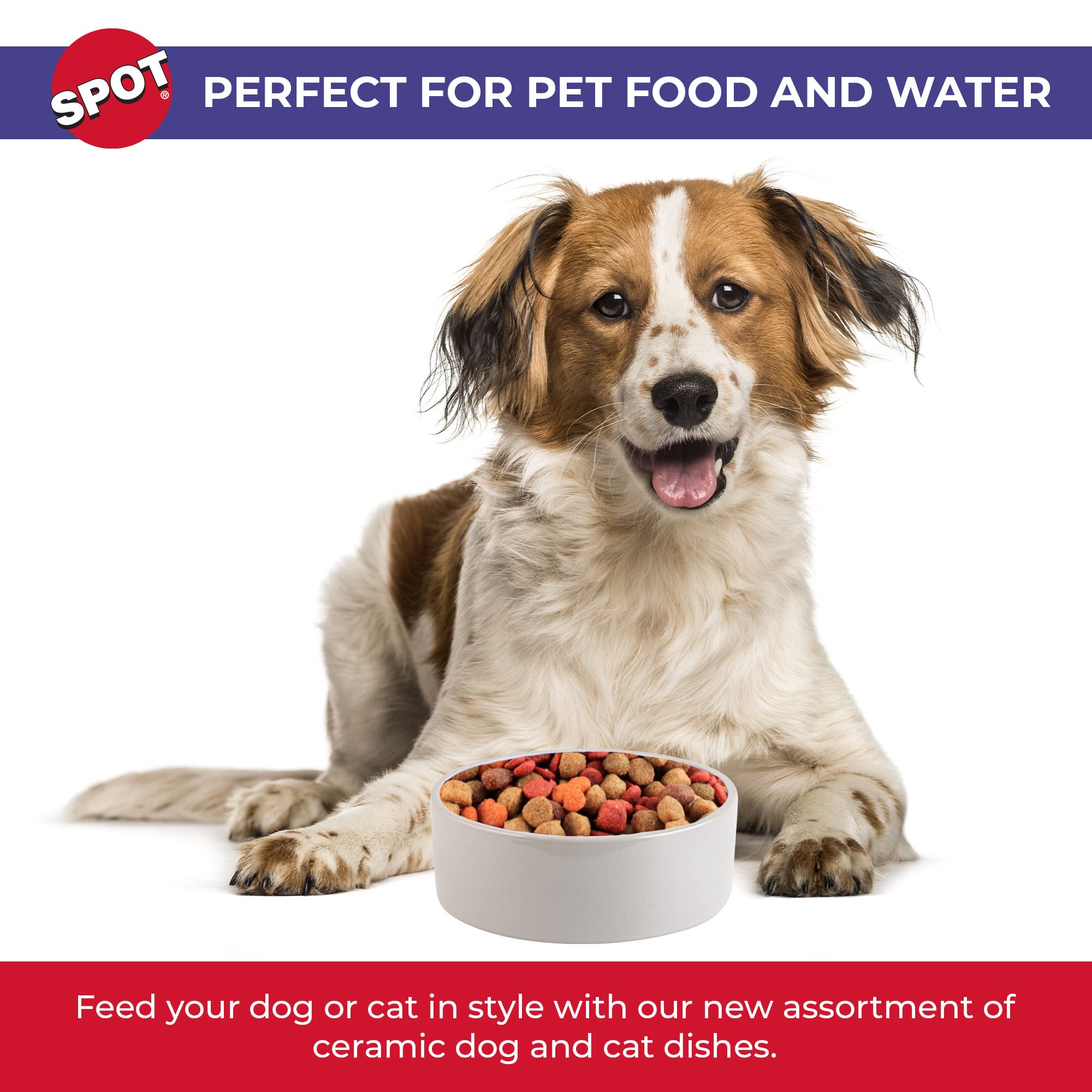 Spot By Ethical Products - Ceramic Stoneware Pet Bowl For Cats And Small Dogs, Classic Heavy Duty Non Slip Ceramic Cat Dish Dog