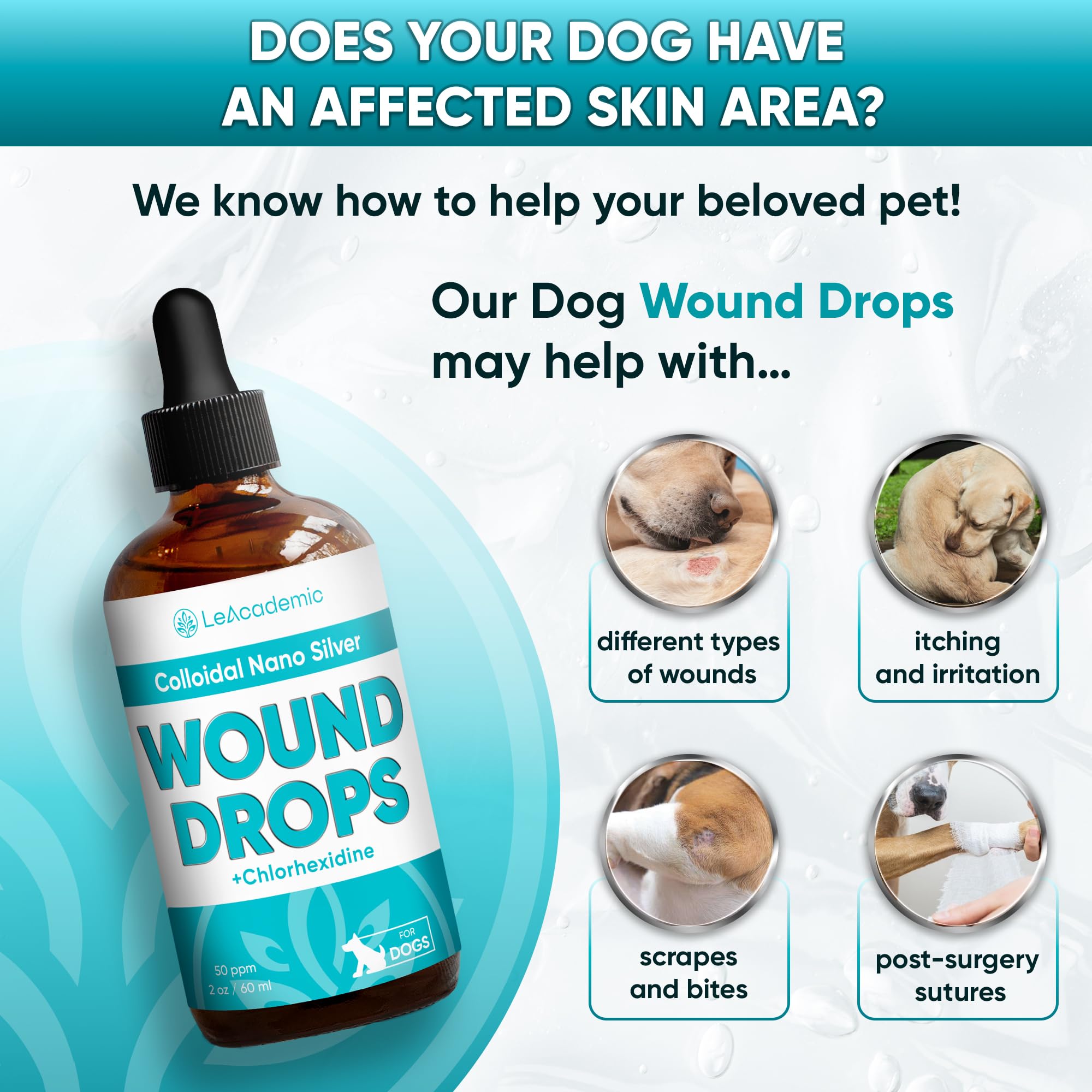 Dog Wound Care in Drops | Dog Cone May Be Helpful Here | Silver + Chlorhexidine is a Lifesaver for Skin Irritation, Scratches, B