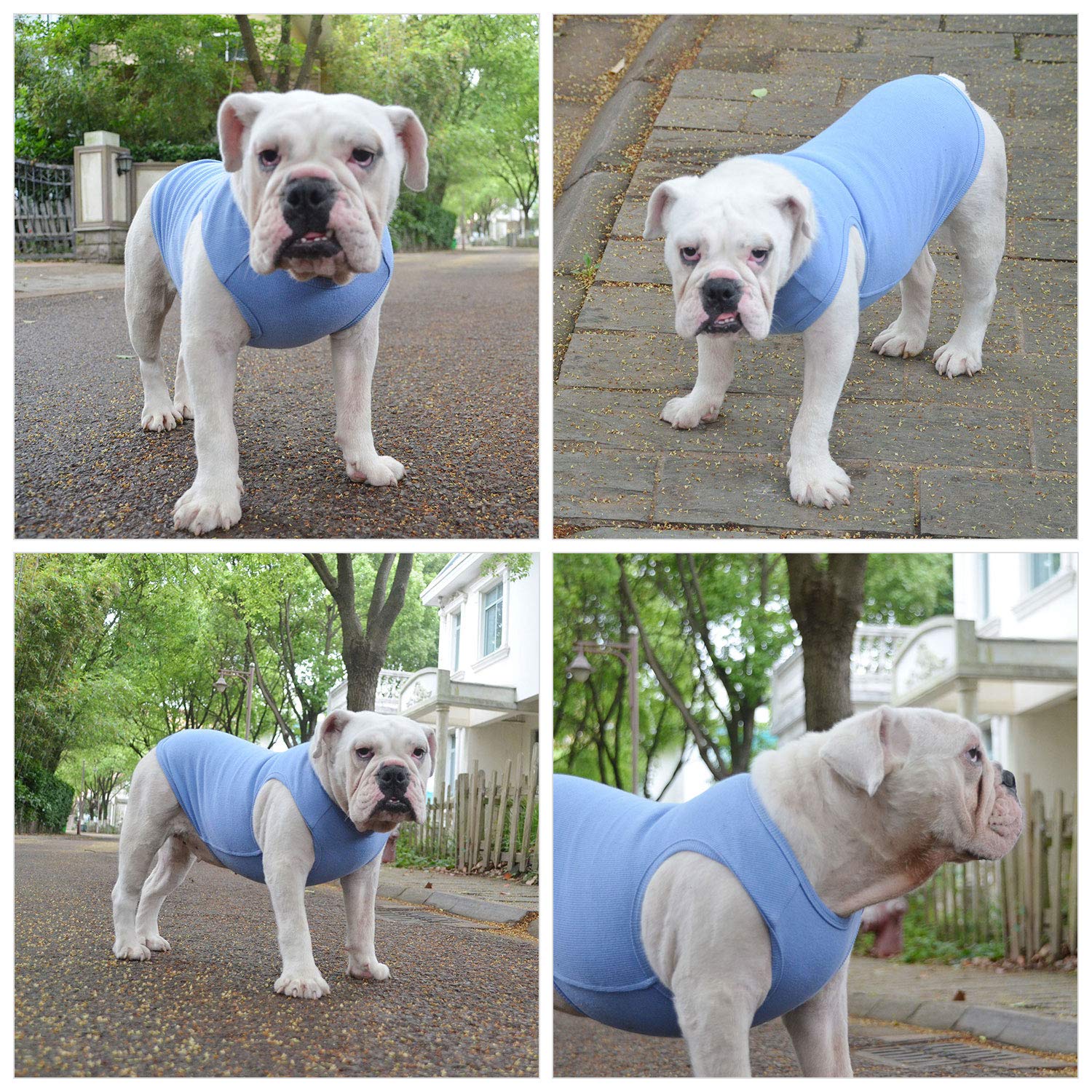 Lovelonglong 2019 Summer Pet Clothing, Dog Clothes Blank T-Shirts Ribbed Tanks Top Thread Vests For Large Medium Small Dogs 100%