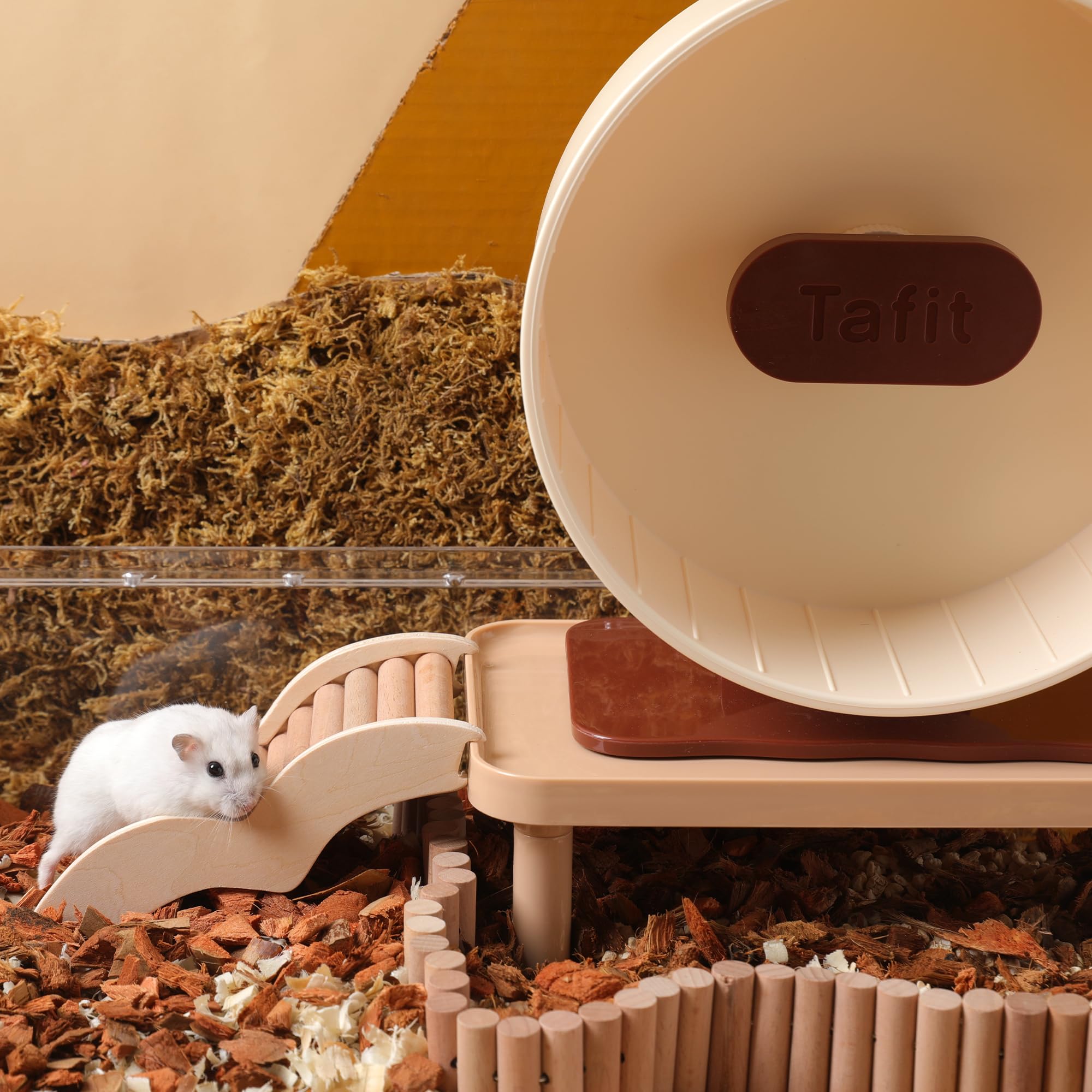 Tafit Hamster Platform - Cage Accessories and Play Decor for Dwarf Syrian Hamsters, Gerbils, Mice, Degus, and Other Small Pets (