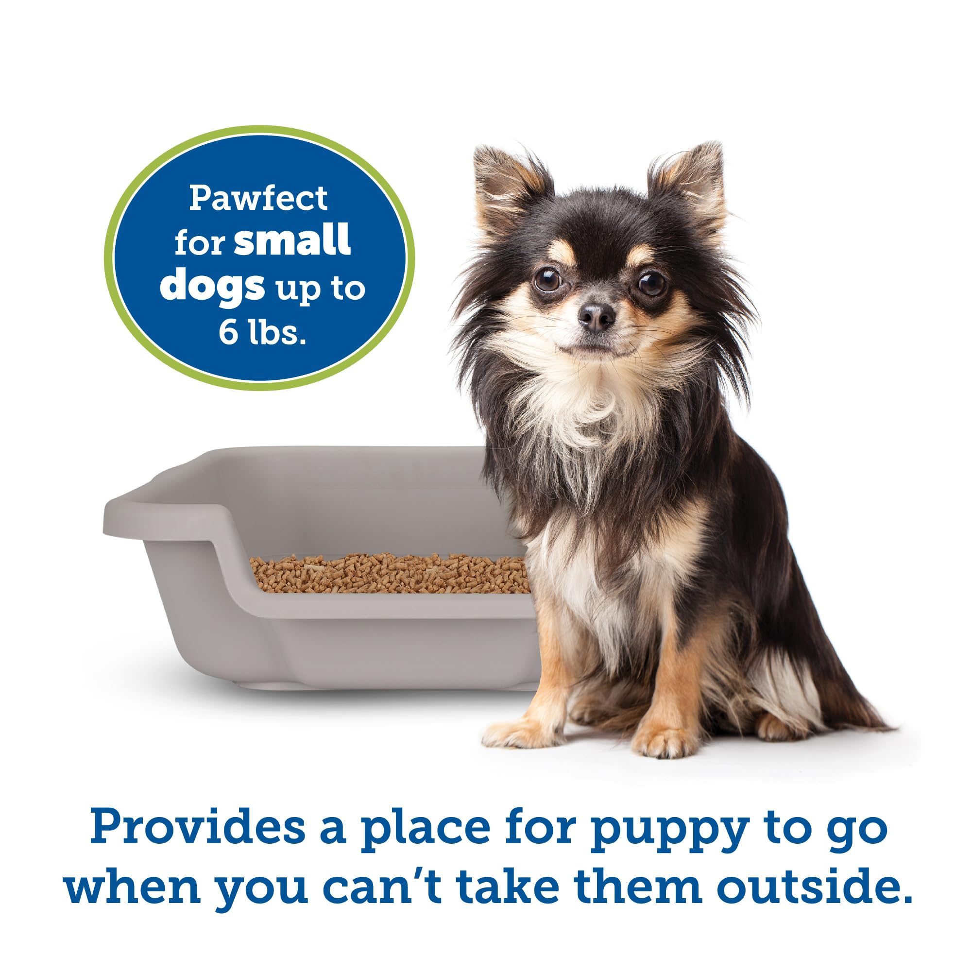 Puppygohere Small Gray Litter Box, Durable & Pet Safe, Open Top Entry, Comfortable For Dogs Up To 6 Lbs