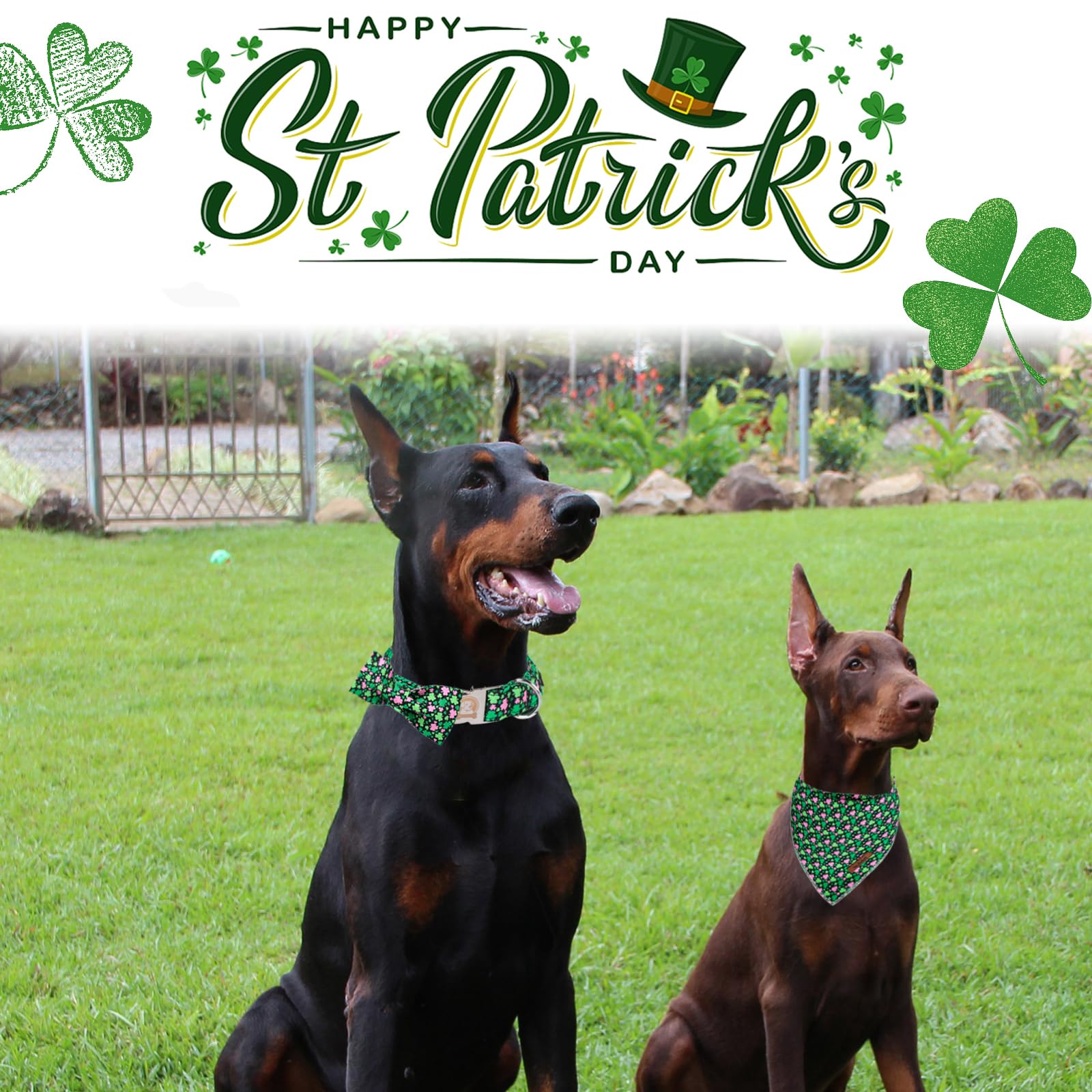 Mr. Chubbyface St.Patrick'S Pink Green Clover Dog Collar With Bowtie, Cute Clovers Shamrock Metal Buckle Dog Collar, Adjustable