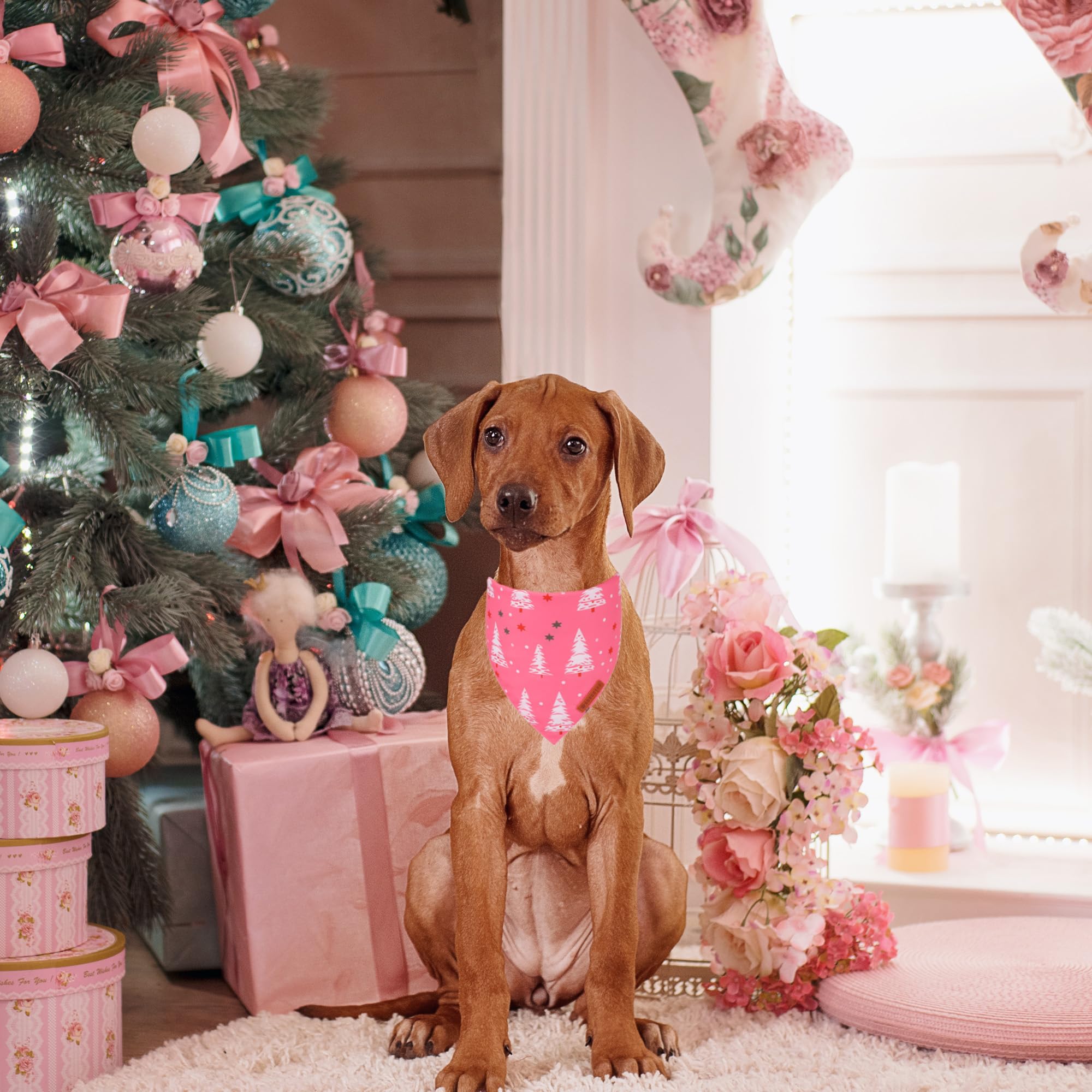 ADOGGYGO Pink Christmas Dog Bandana, Santa Xmas Tree Dog Scarf, Adjustable Fit Pink Pet Christmas Bandanas for Large and Extra L