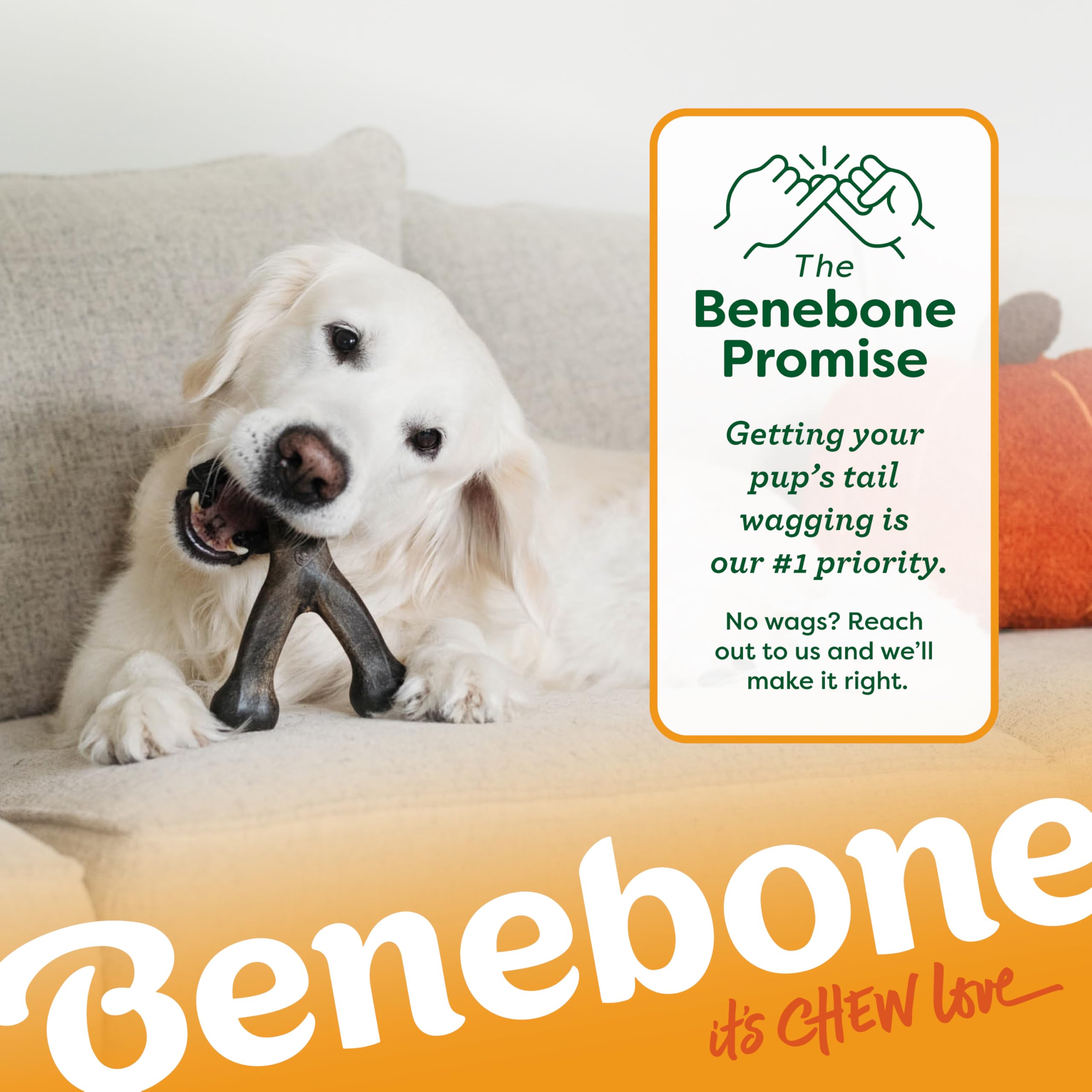 Benebone Pumpkin Spice Wishbone - Limited Edition Flavor, Durable Dog Chew Toy for Aggressive Chewers, Made in USA, Small