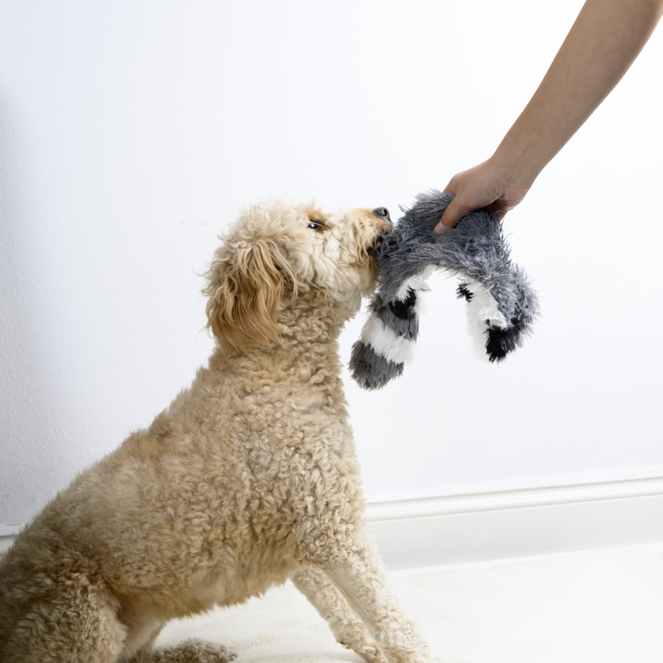 Fga Marketplace Racoon Flat No Stuffing No Squeak Plush Dog Toy, Funny Style Will Entertain Your Pet For Hours, Recommended For