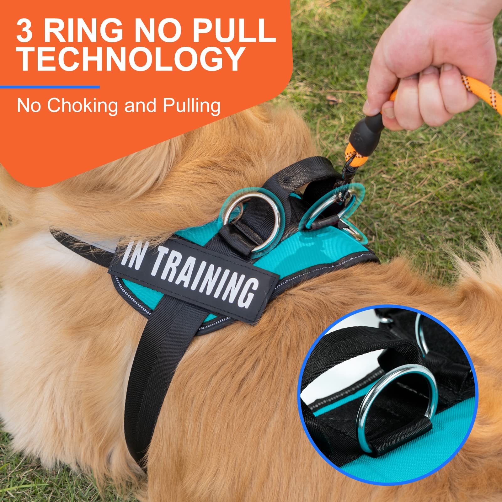 Essential Dog Harness, No Pull Pet Harness With 3 Side Rings For Leash Placement, No Choke, Reflective, Adjustable Pet Vest, Eas