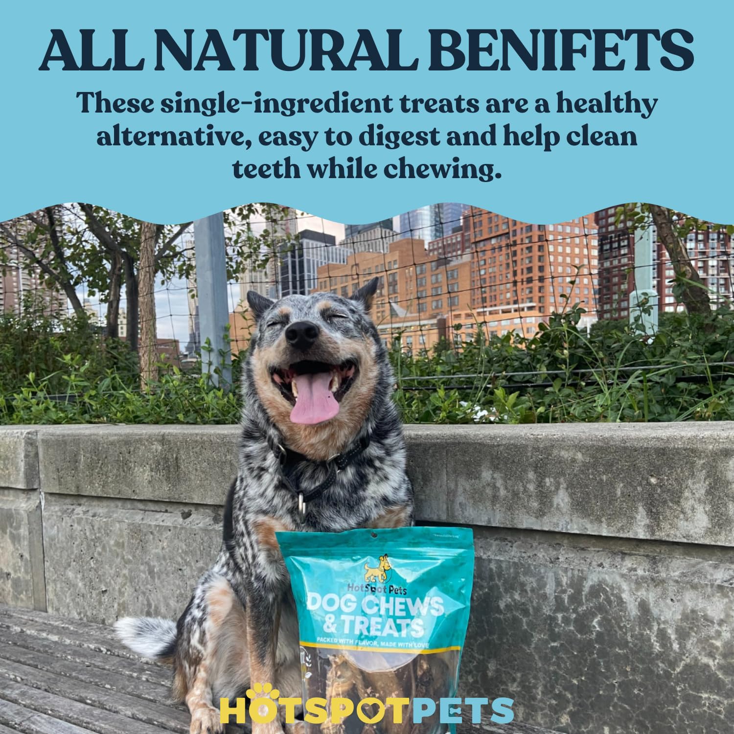 hotspot pets Premium Beef Gullet Sticks for Dogs 12 - All Natural Grass-Fed Beef Dog Chews, Rich in Glucosamine Chondroitin for