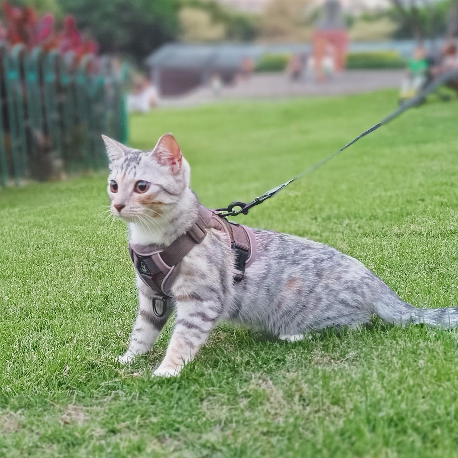 pangdi Cat Harness and Leash Set Escape Proof Tactical Small Kitten Harness Emotional Support Cat Vest, Brown, S