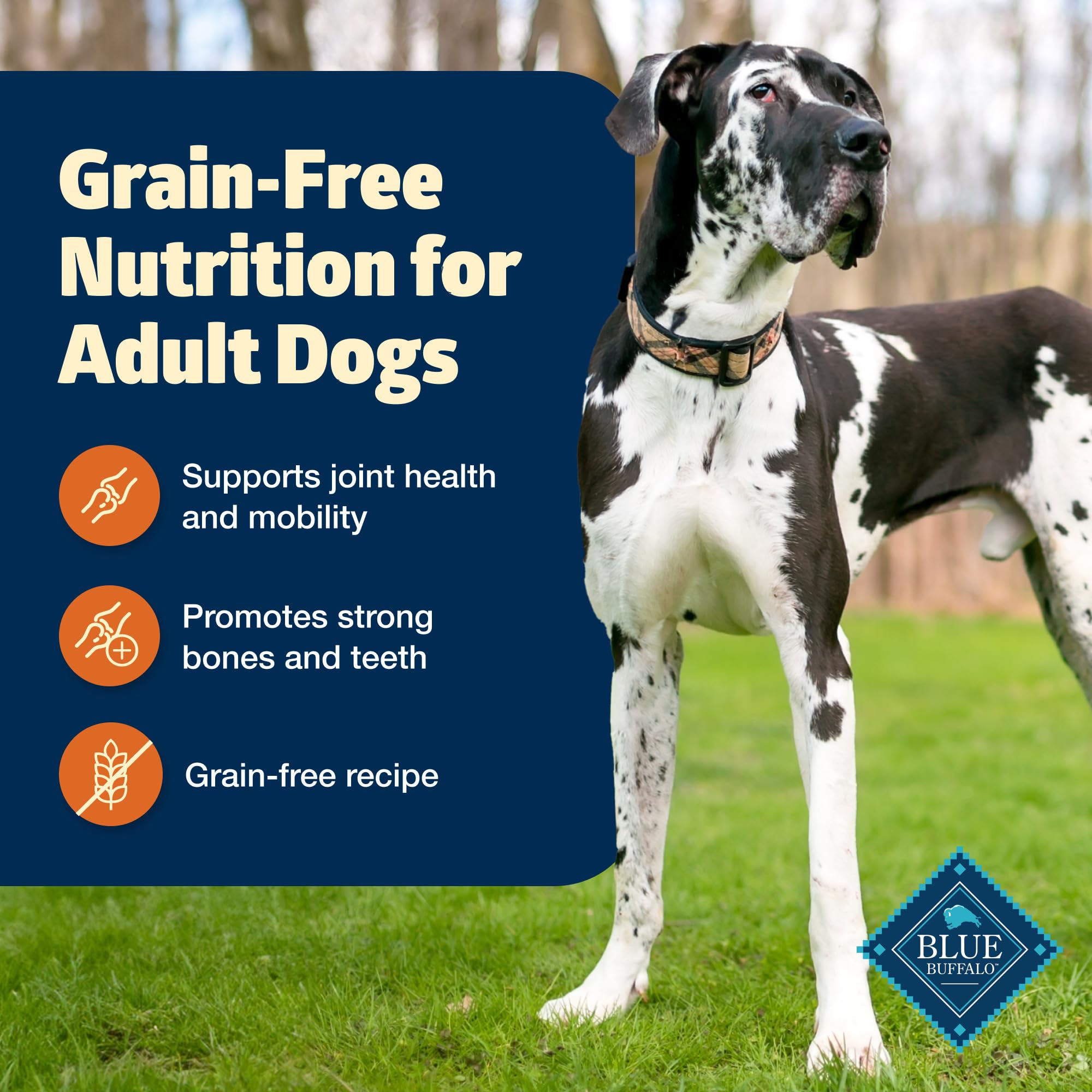 Blue Buffalo Freedom Grain-Free Large Breed Dry Dog Food, Supports Joint Health & Mobility, Made in the USA With Natural Ingredi