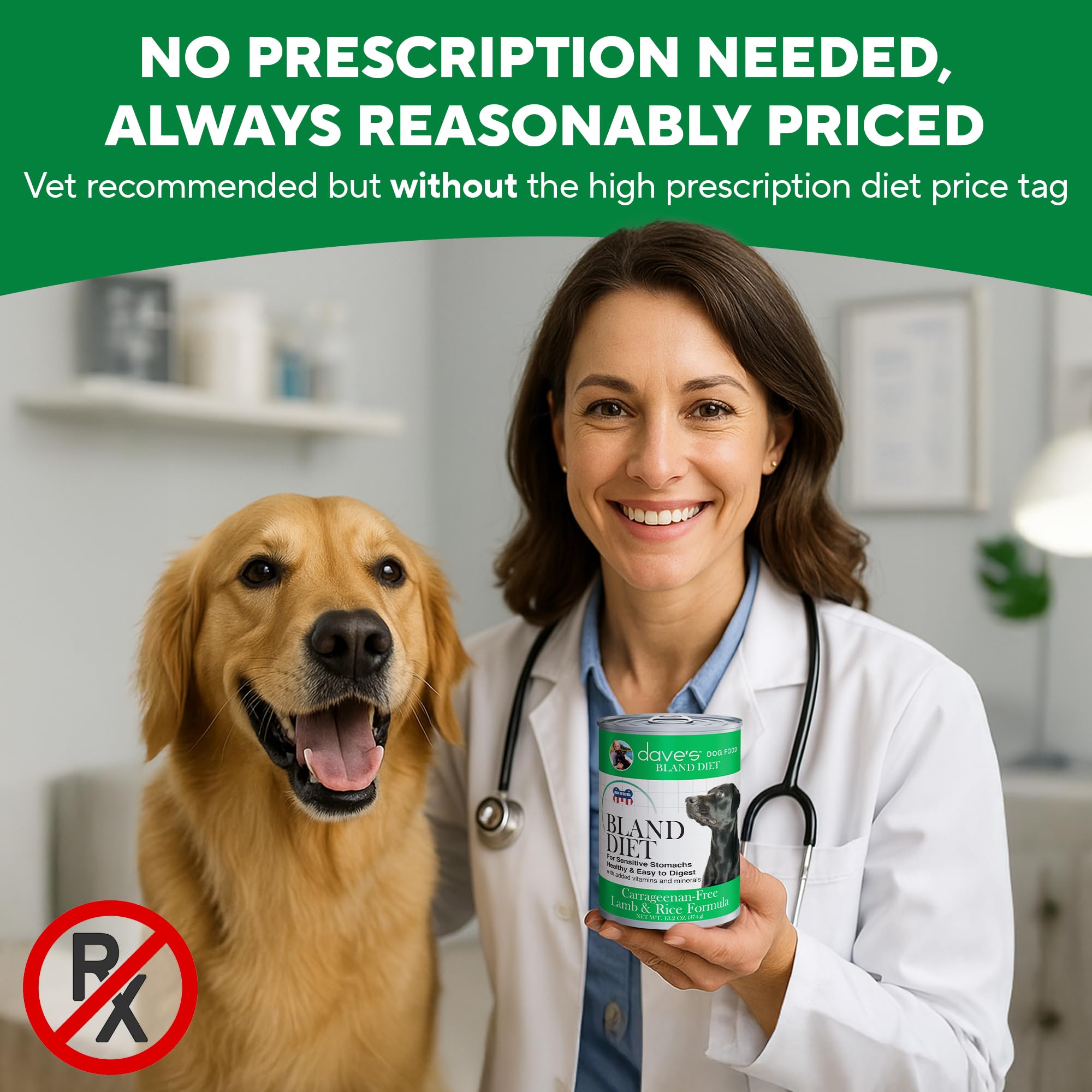 Daves Pet Food Bland Dog Food (Lamb & Rice), Canned Wet Dog Food for Sensitive Stomachs, Gluten-Free, Digestive Care, 13.2 oz (