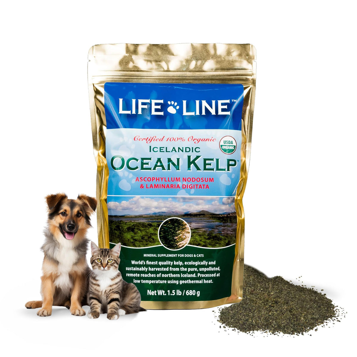 Organic Ocean Kelp 1.5 Lb