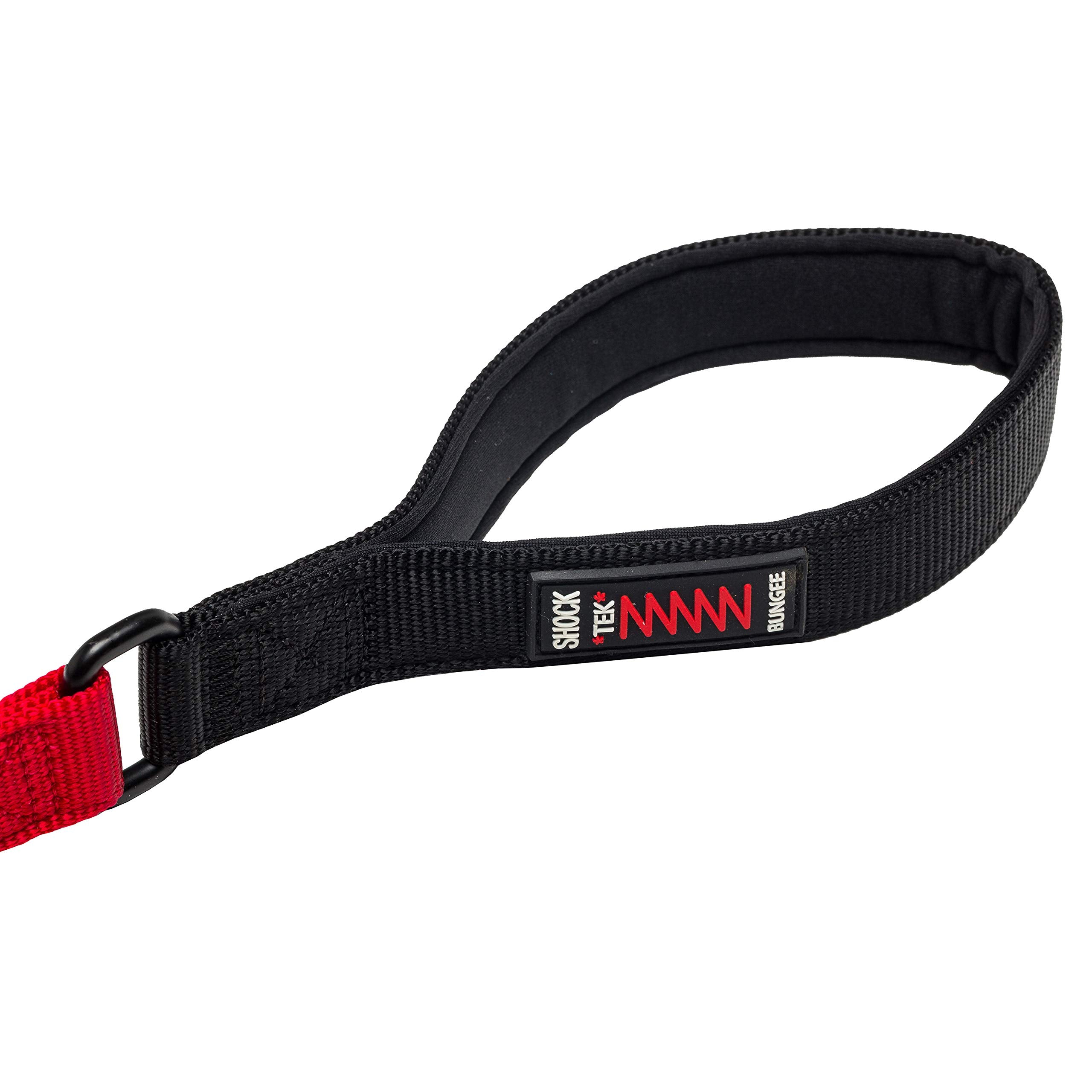 Franklin Pet Supply Co. Nylon Dog Leash - 4ft Bungee Leash - Red - Prevents Jumping & Pulling - Model 90004C2XB