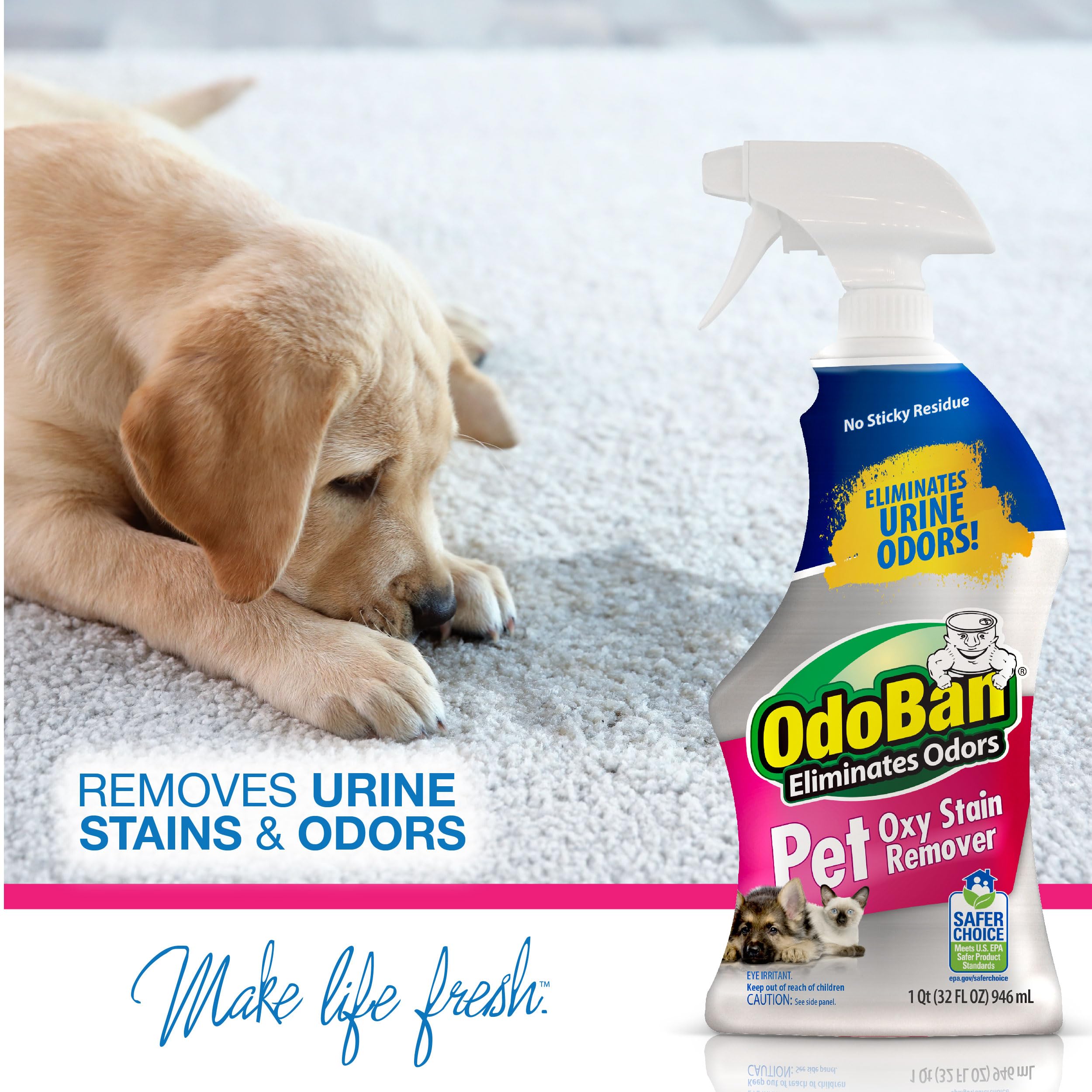 Odoban Pet Solutions Oxy Stain Remover, Pet Stain Eliminator, 10-Pack, 32 Ounce Spray Each